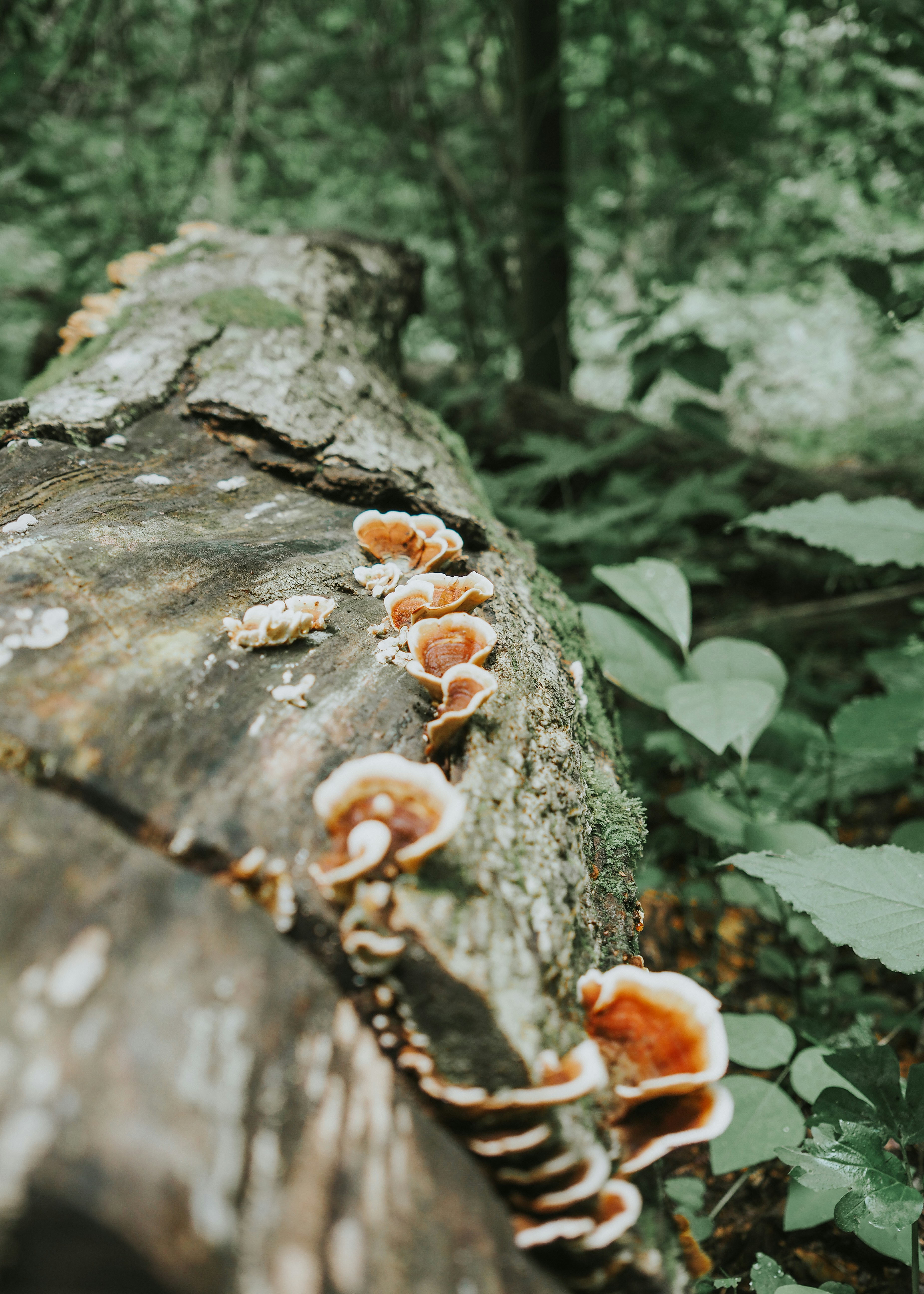 Photo by fieldworkframes