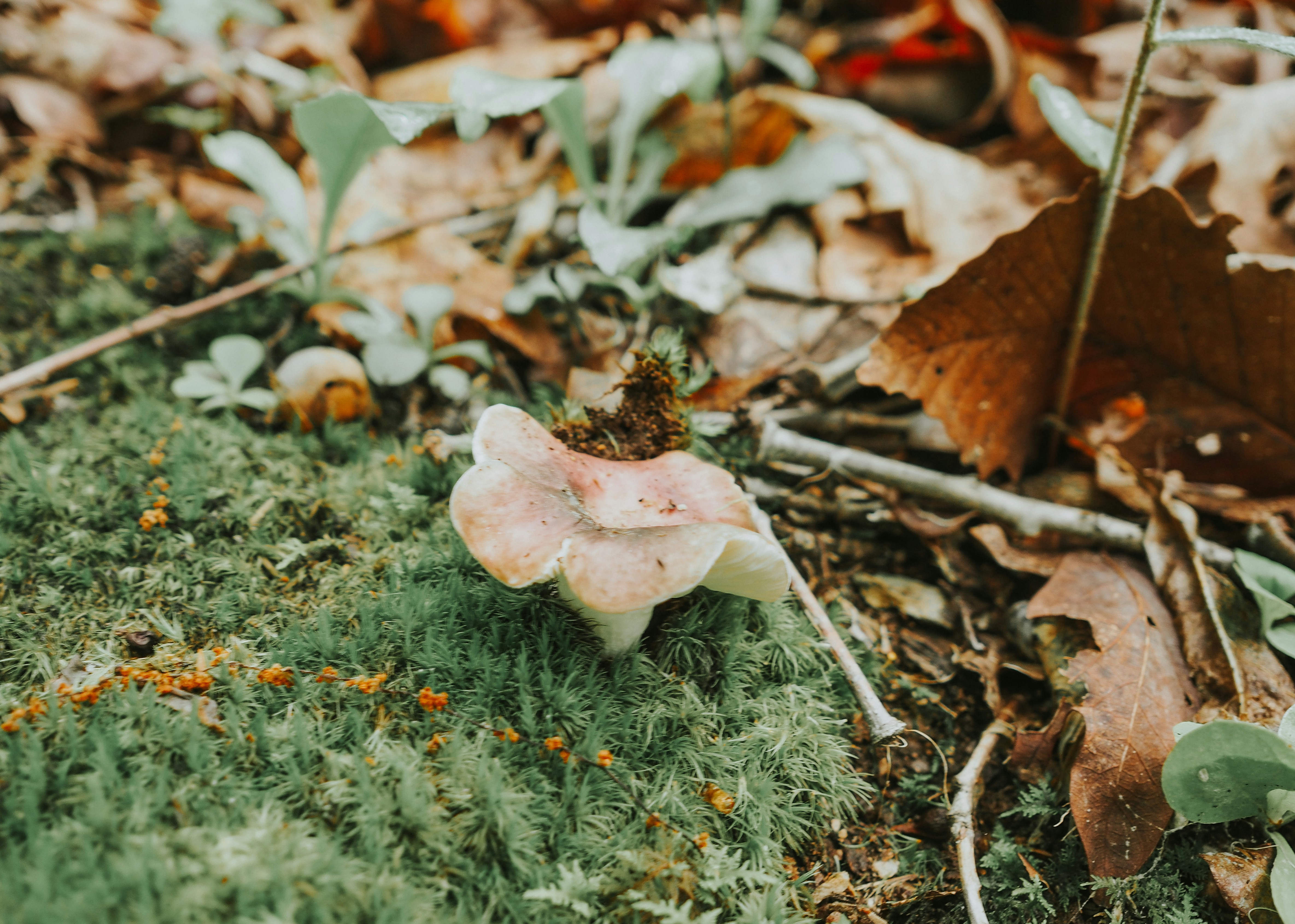 Photo by fieldworkframes