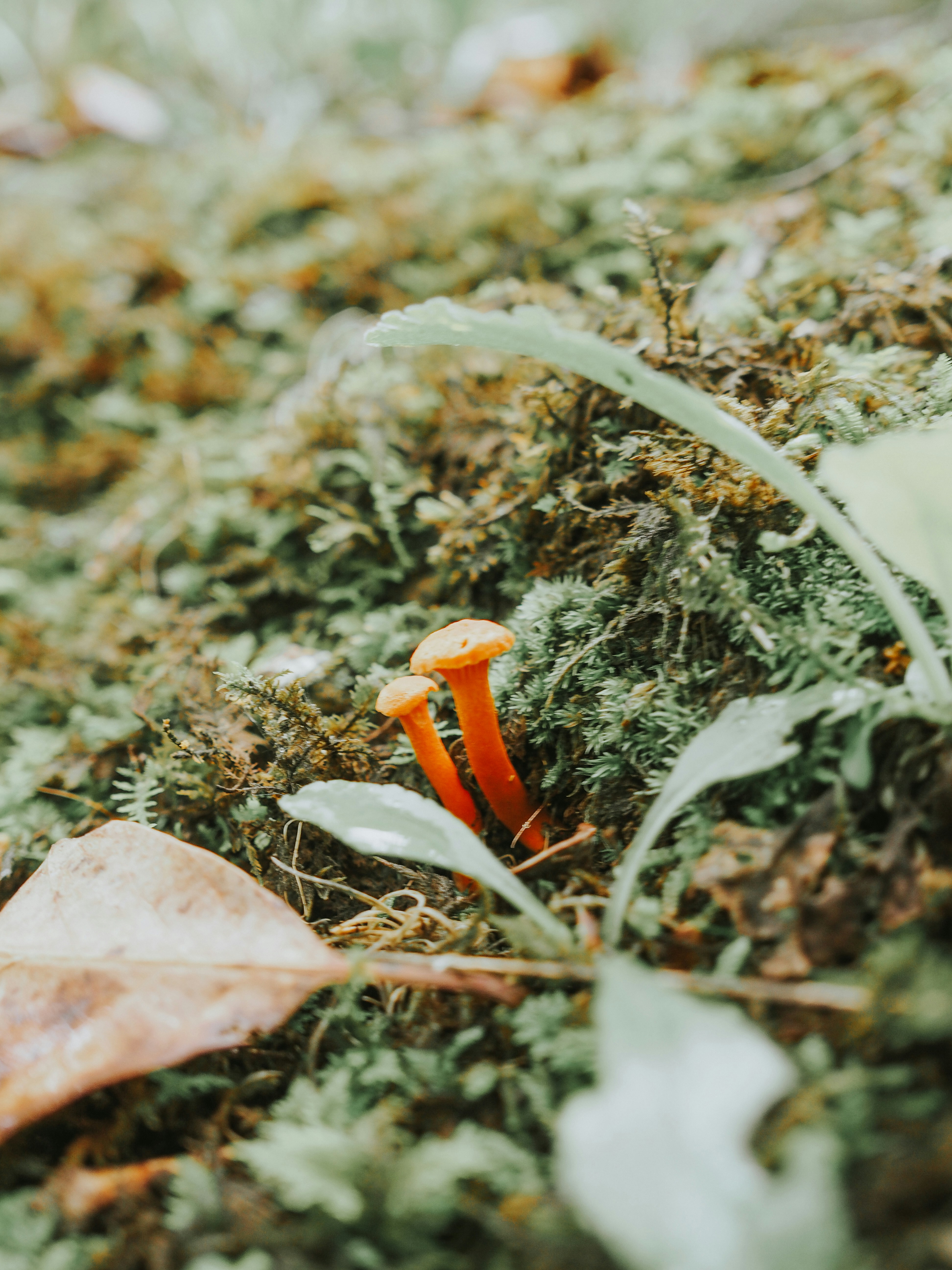 Photo by fieldworkframes