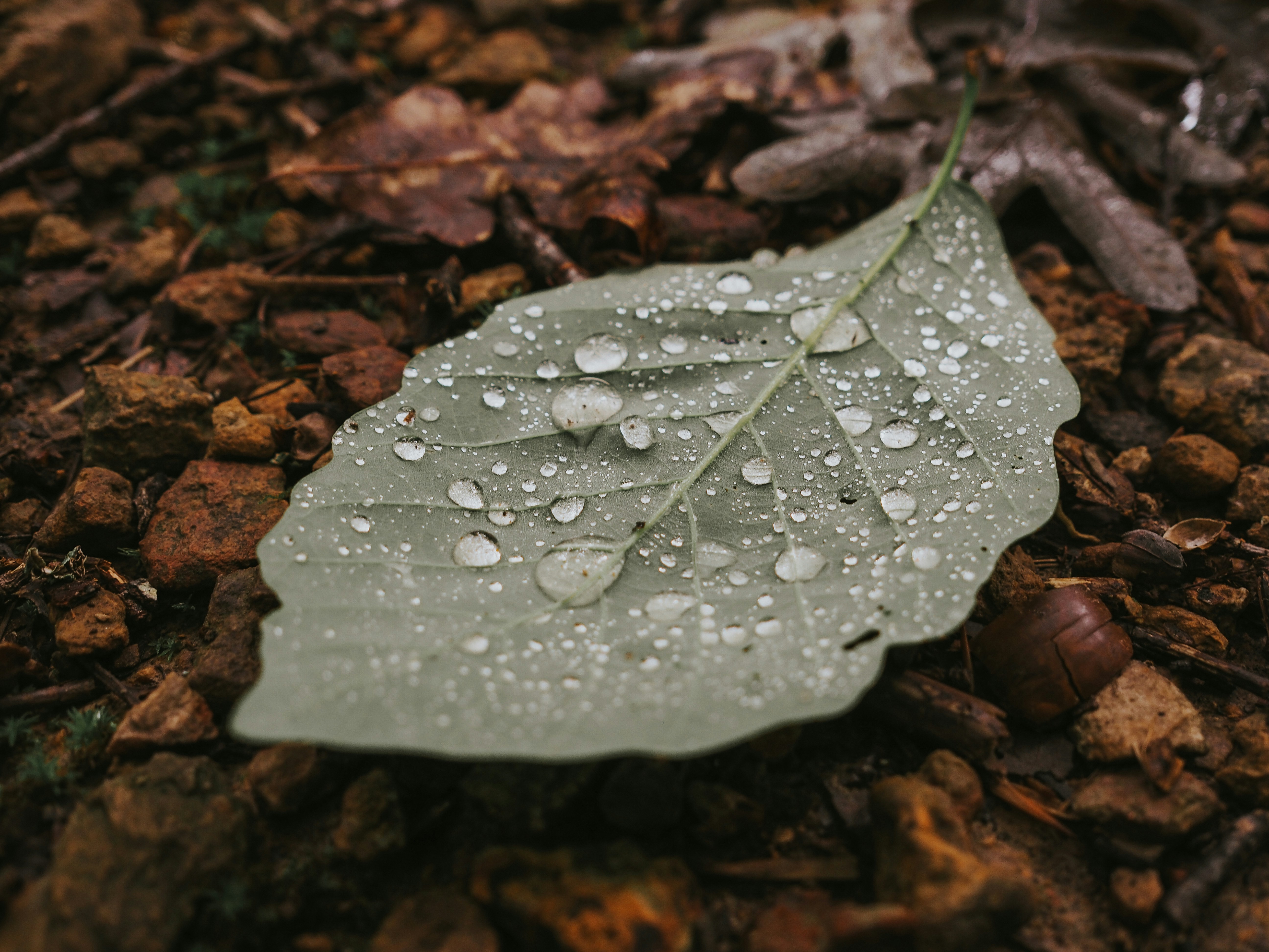 Photo by fieldworkframes