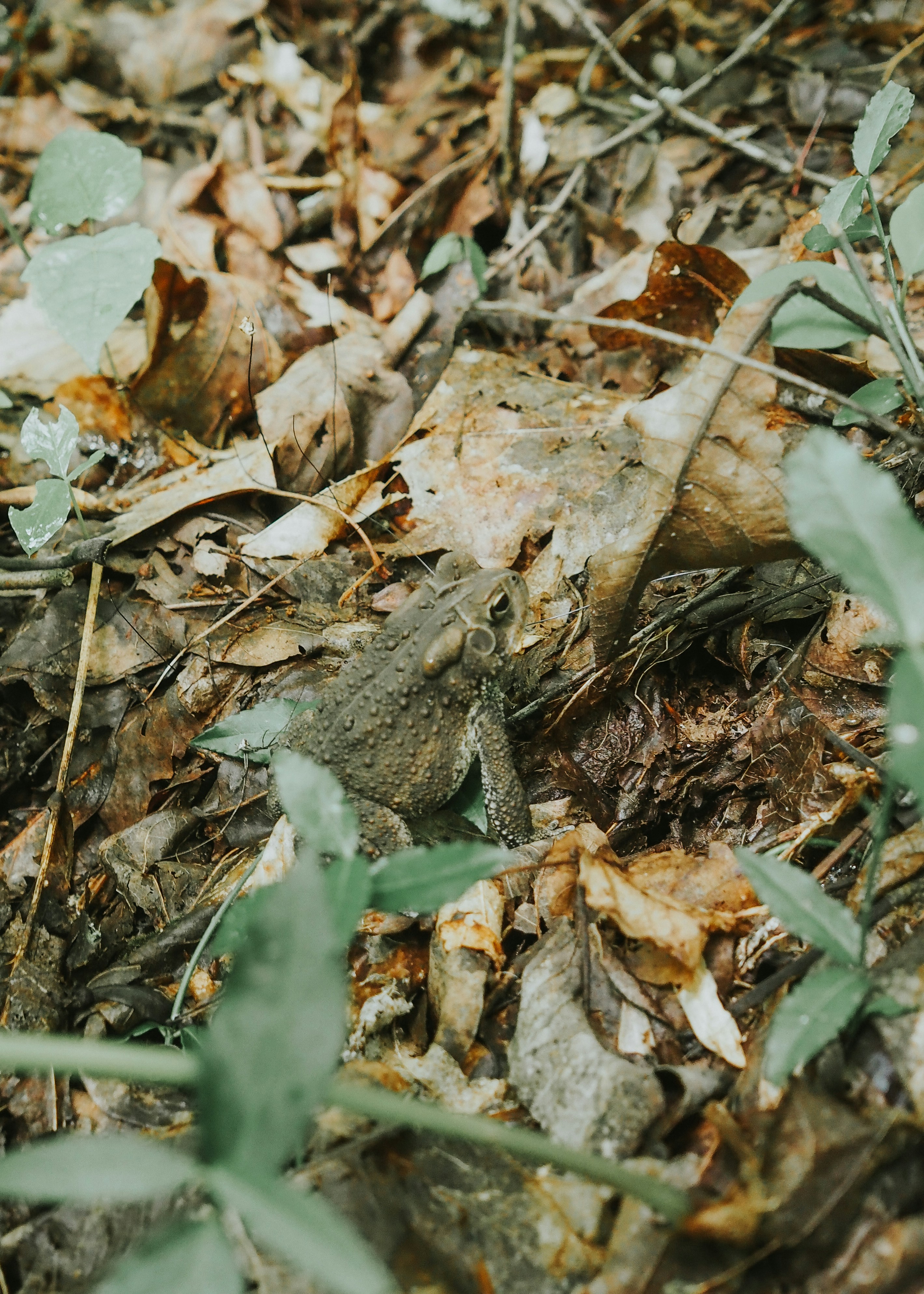 Photo by fieldworkframes