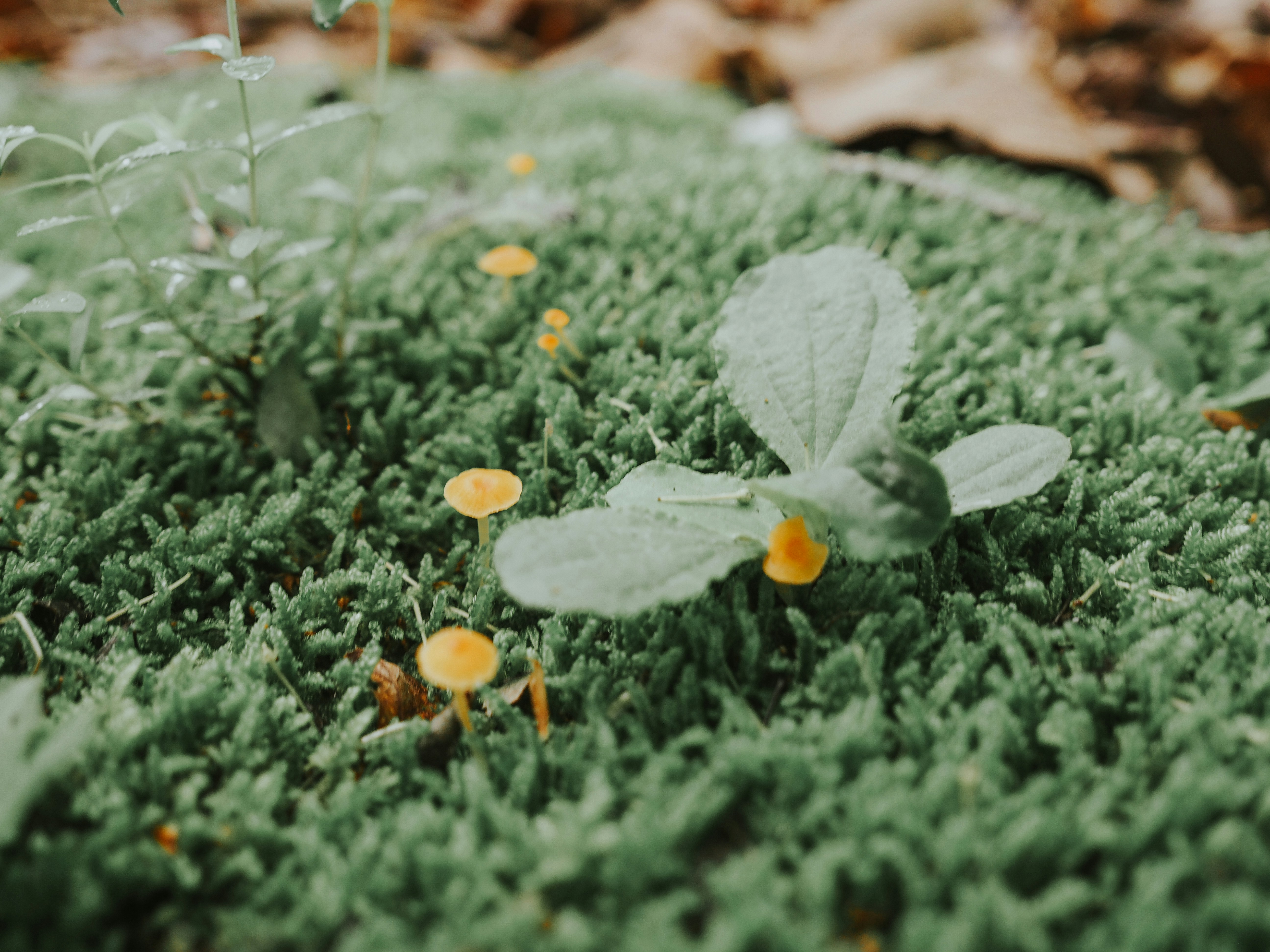 Photo by fieldworkframes