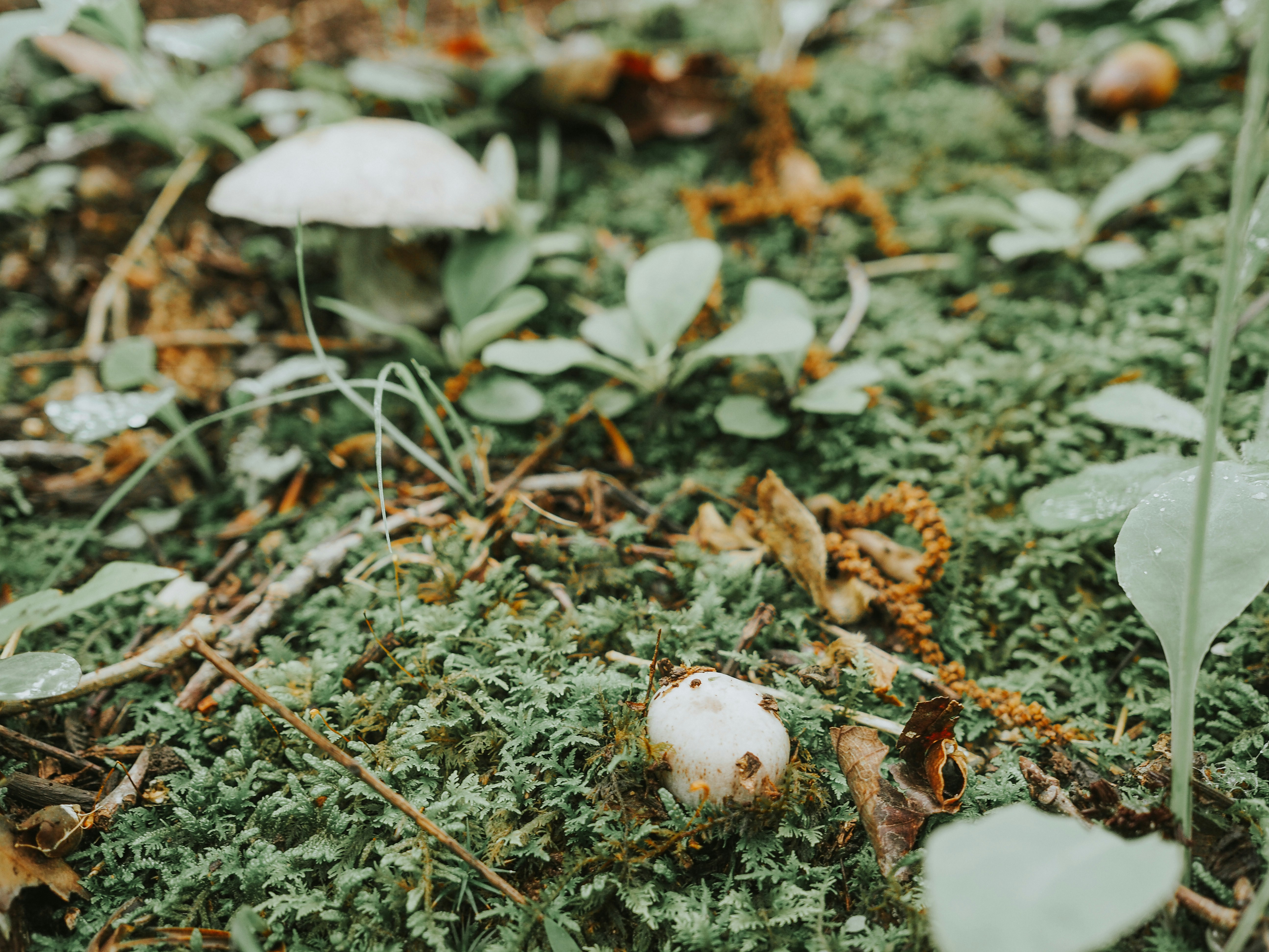 Photo by fieldworkframes