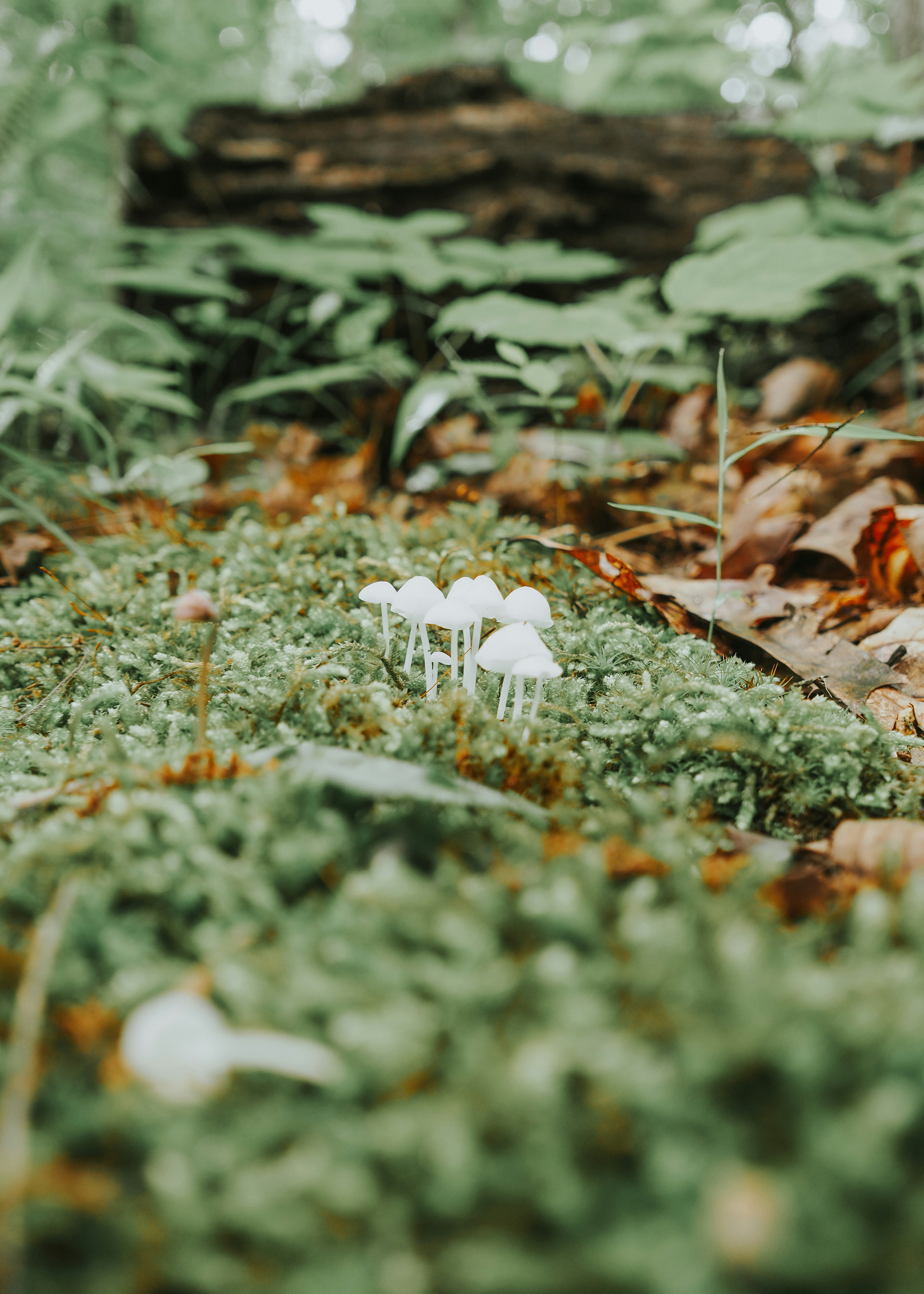 Photo by fieldworkframes