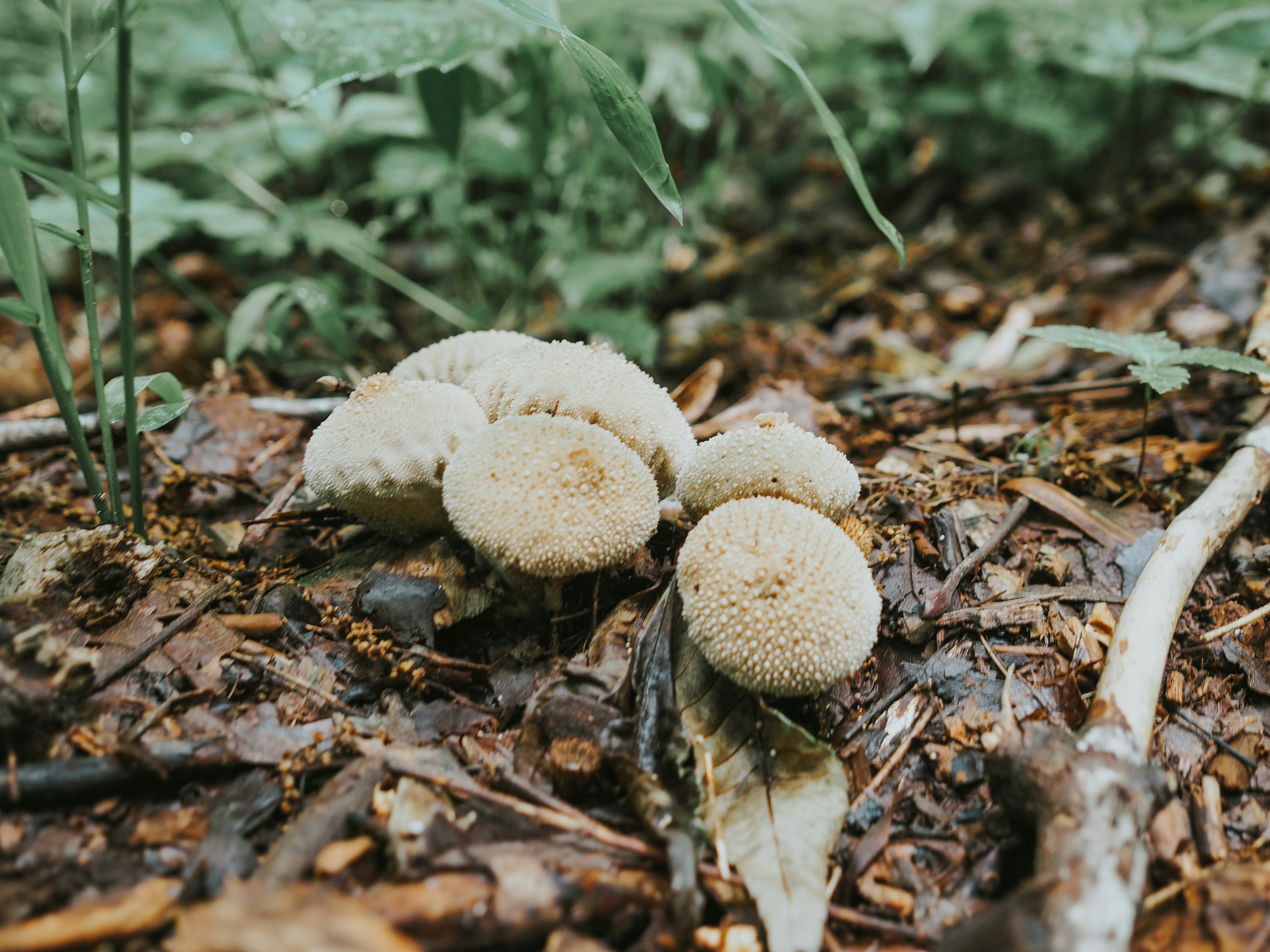 Photo by fieldworkframes