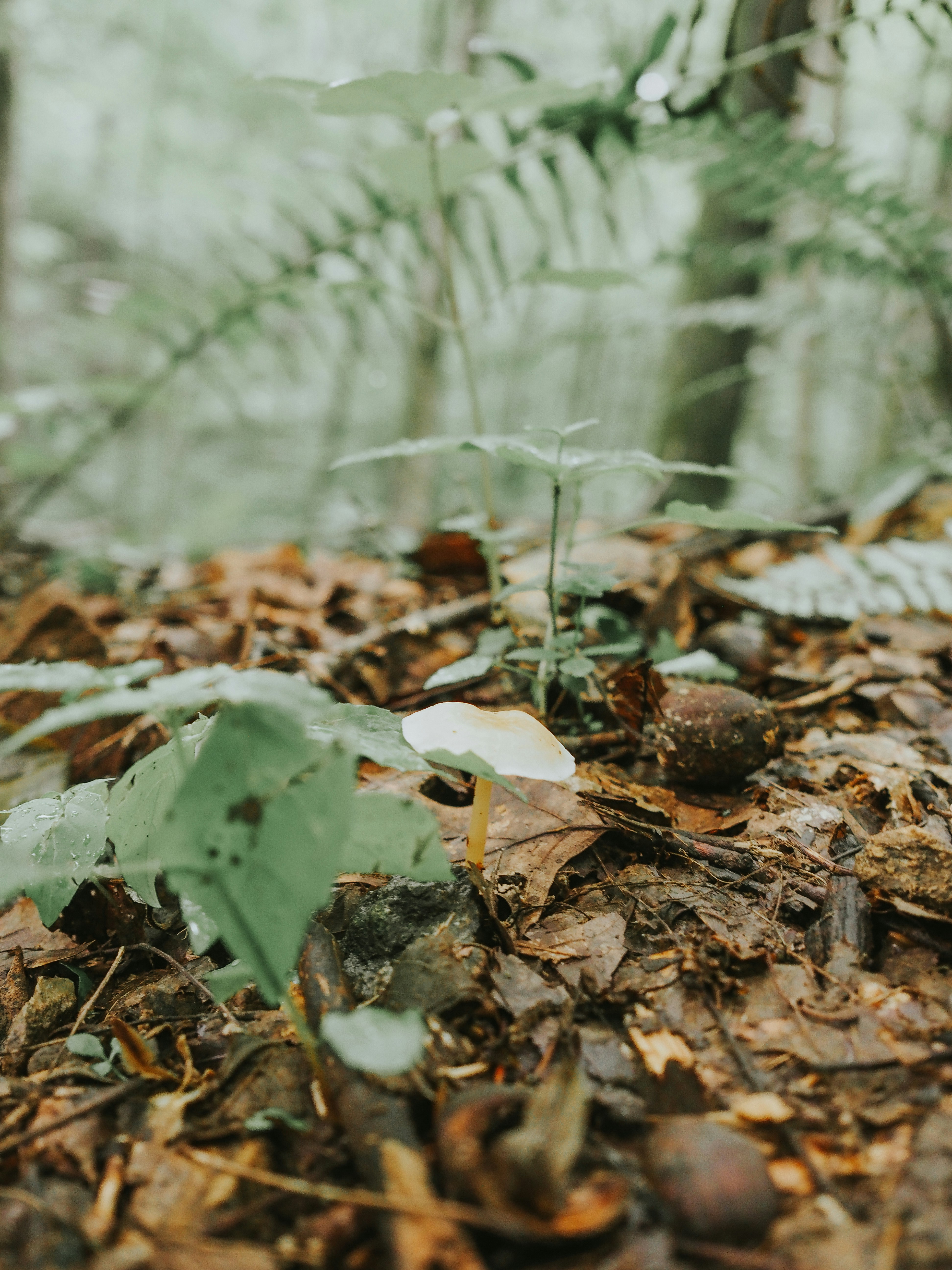 Photo by fieldworkframes