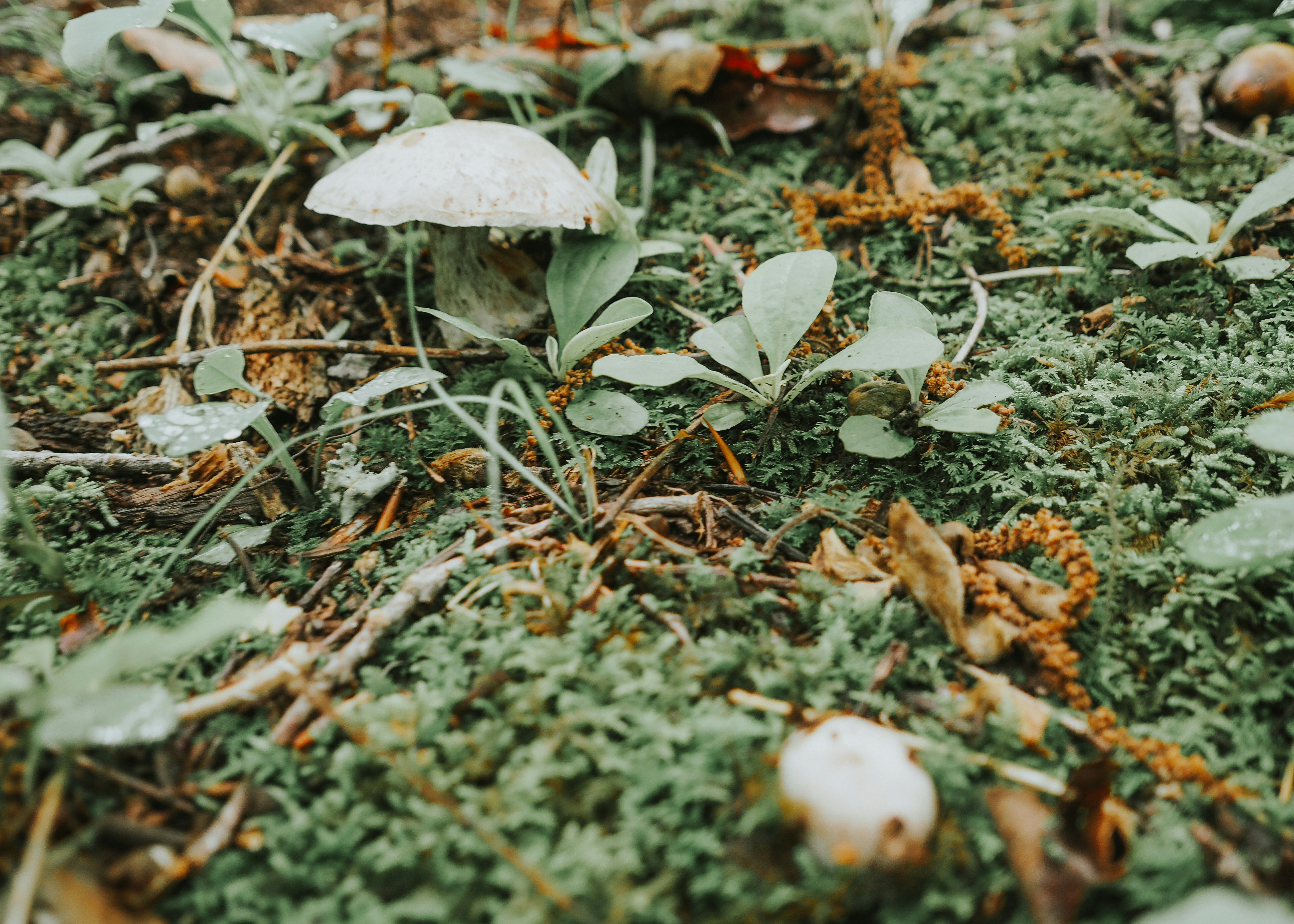 Photo by fieldworkframes