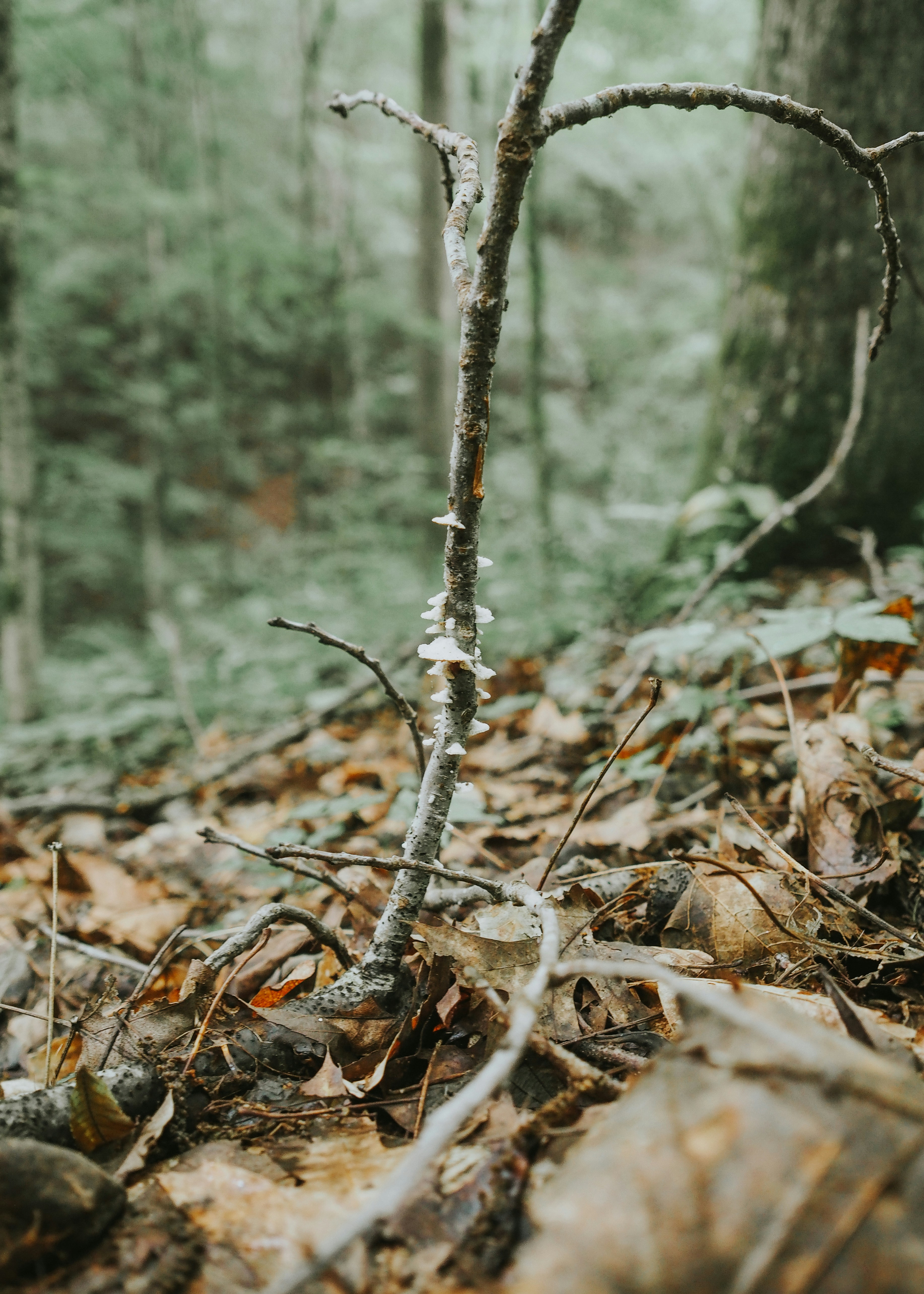 Photo by fieldworkframes