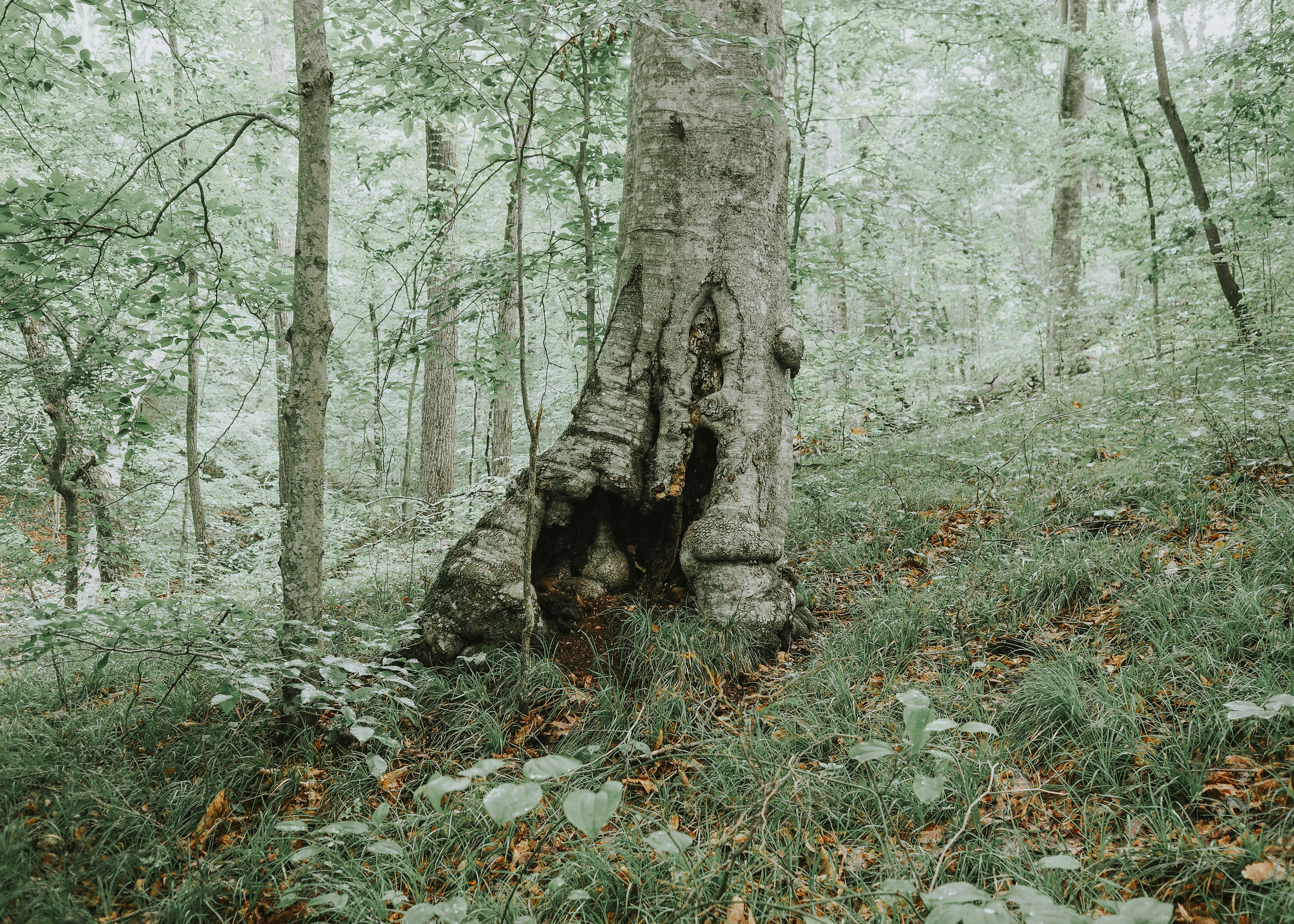 Photo by fieldworkframes