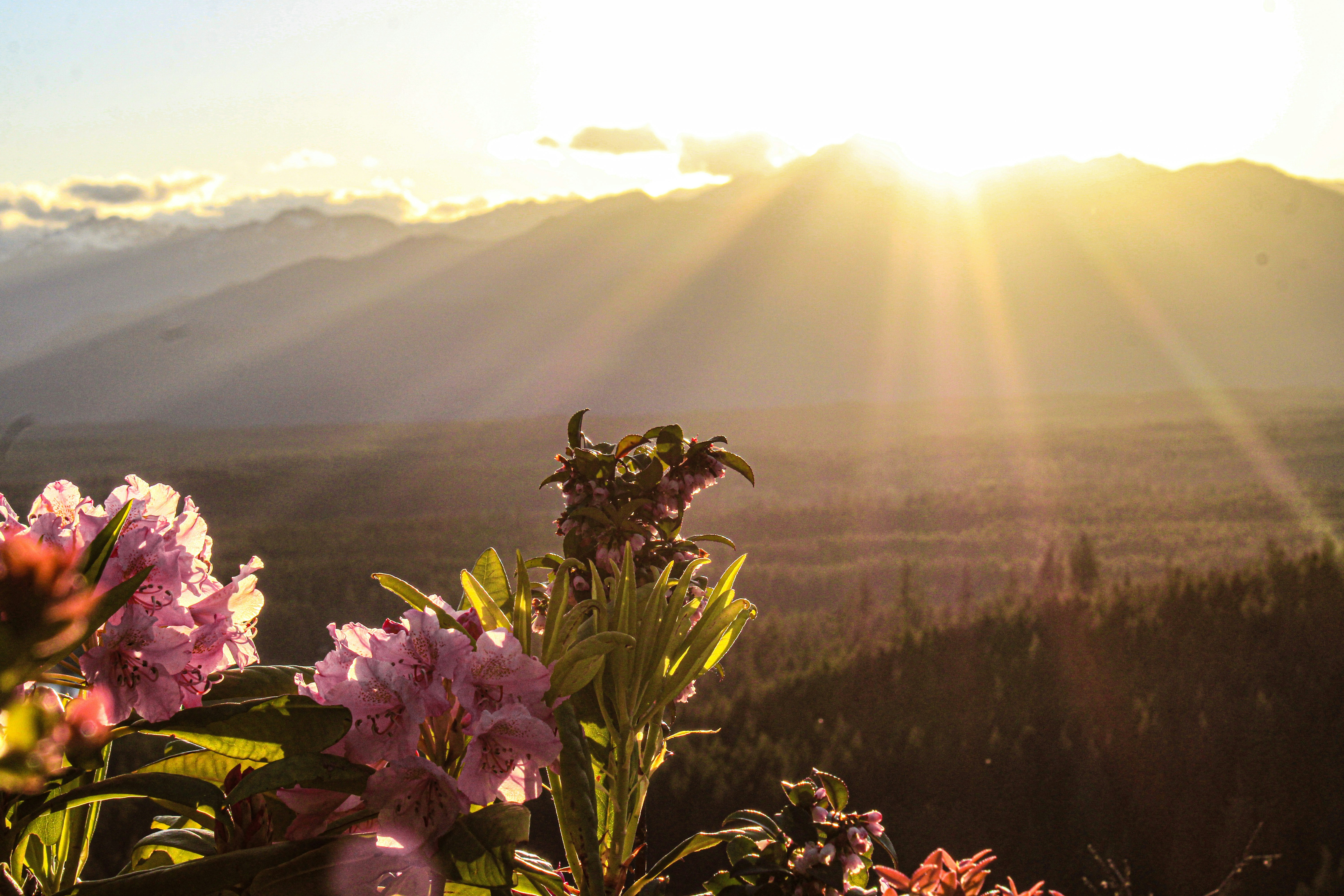 Best Heartfelt Navami Quotes 2025 — Share & Bless Loved Ones