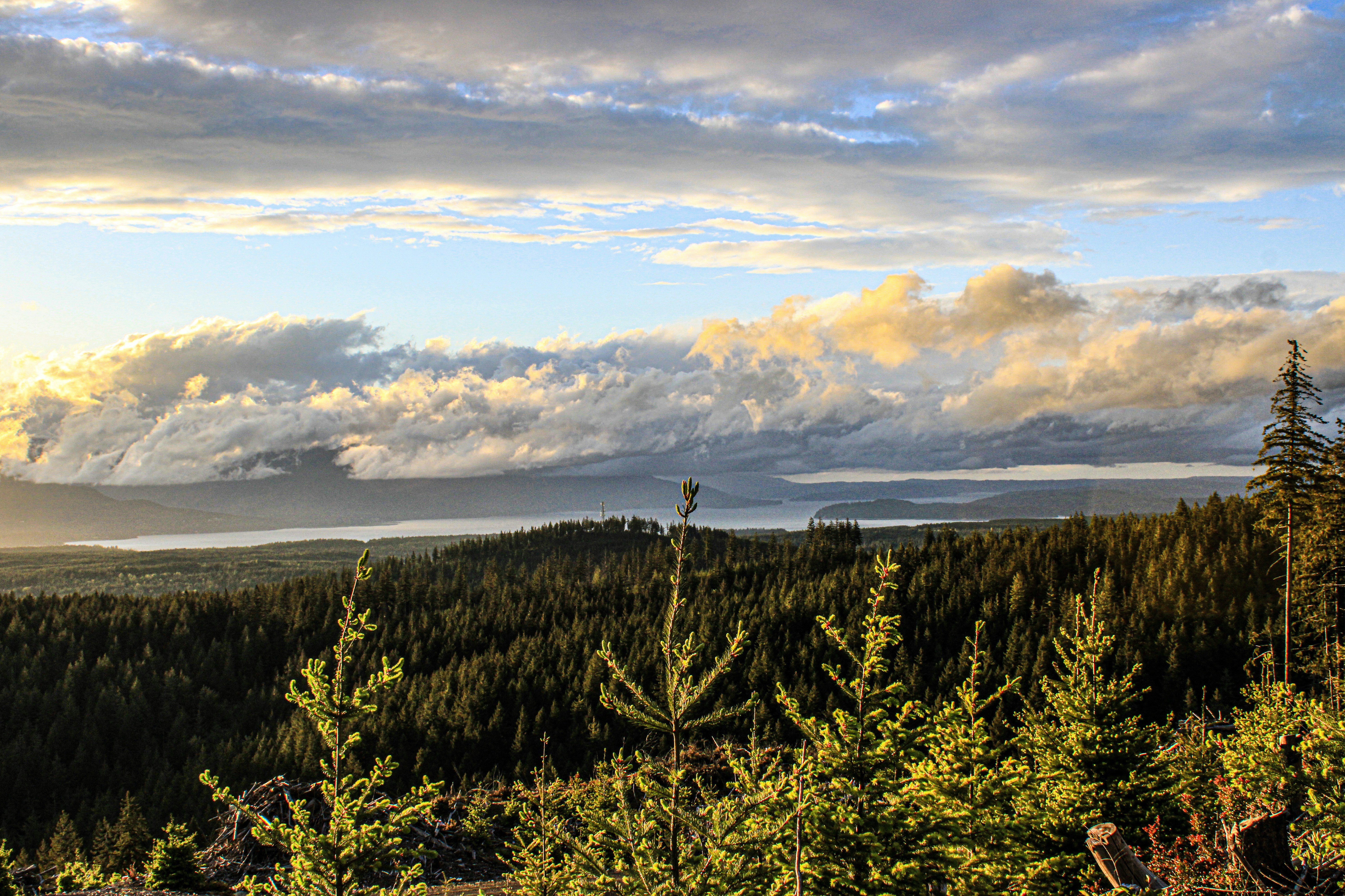 Photo by prphotography262