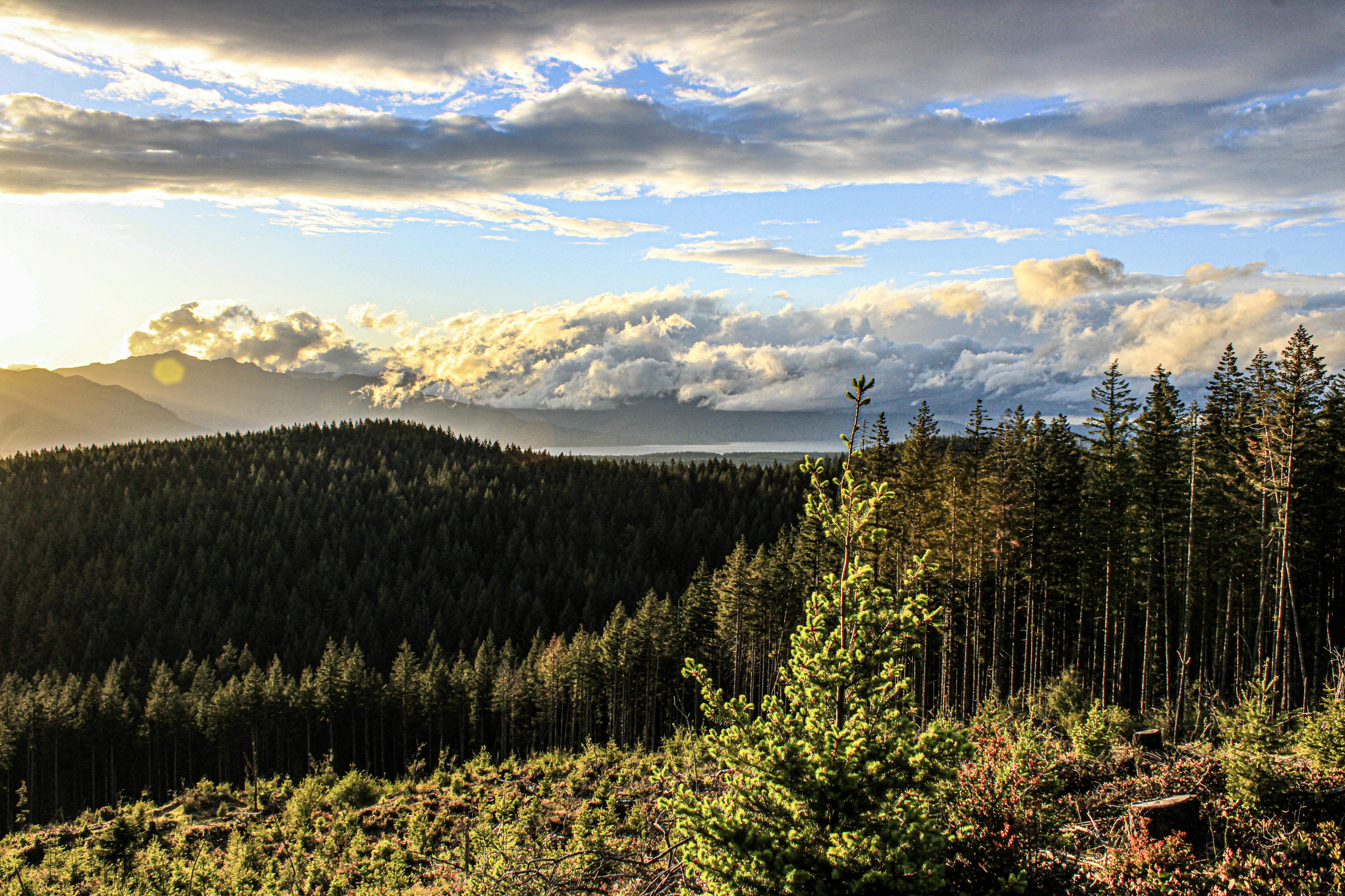 Photo by prphotography262