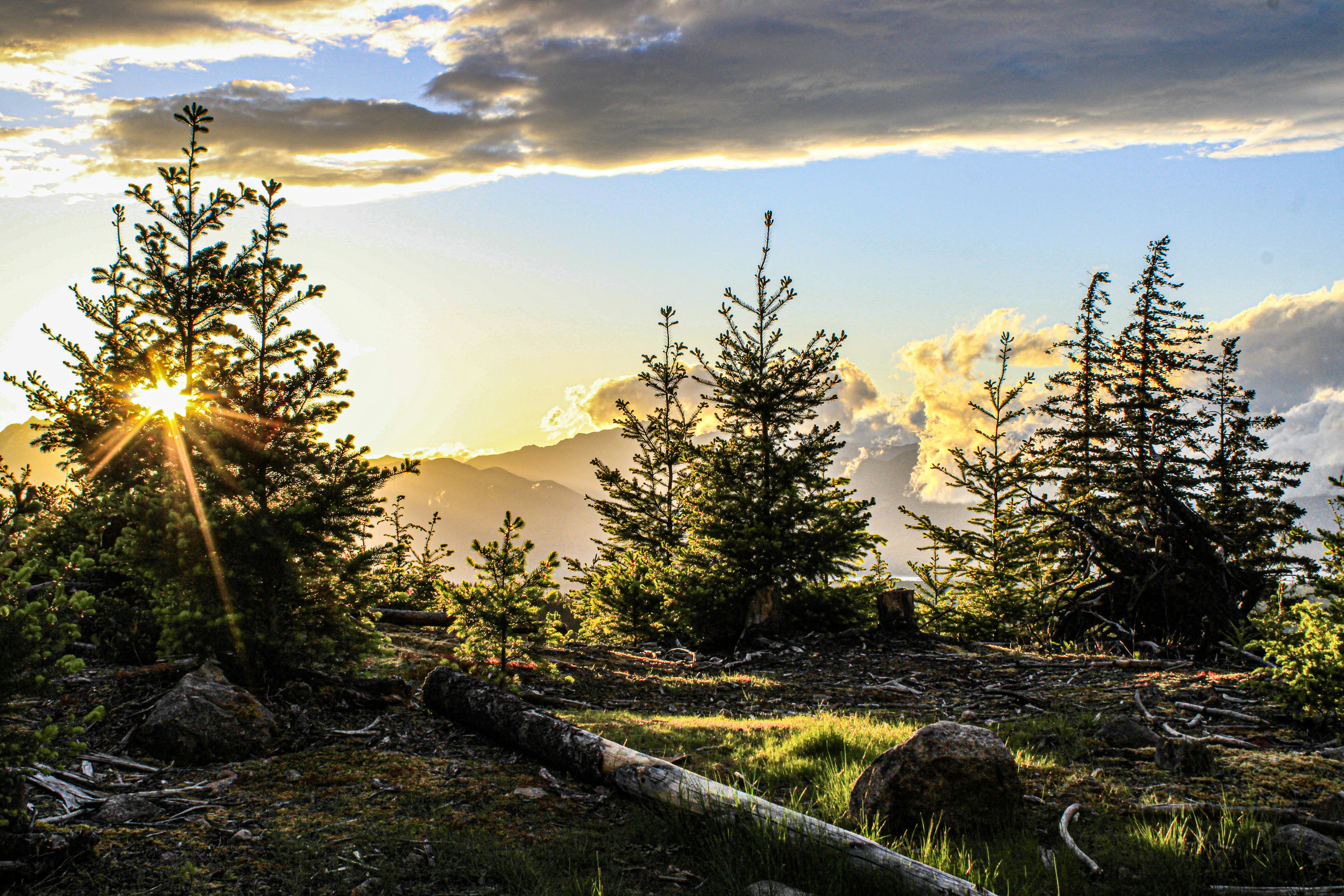 Photo by prphotography262