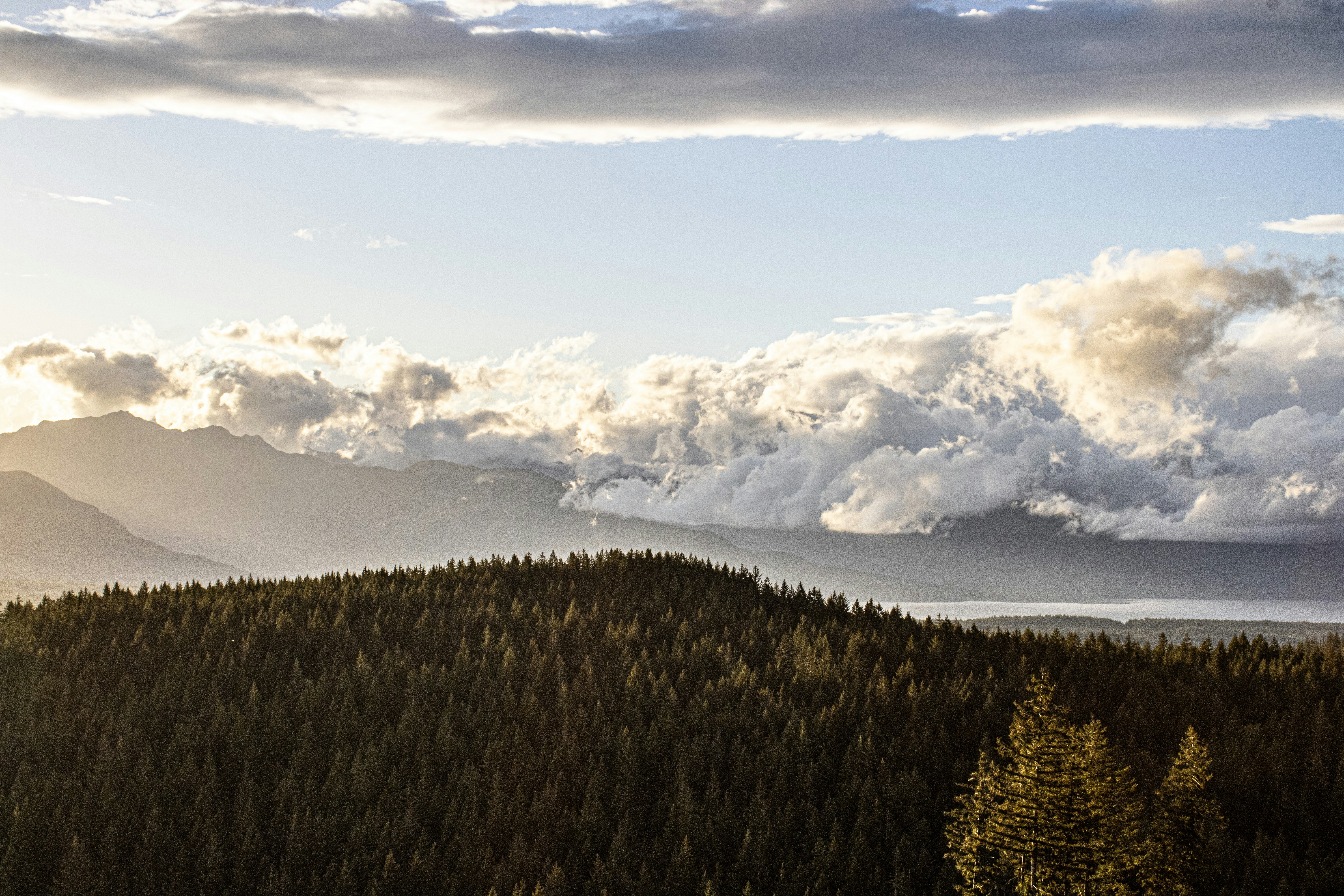 Photo by prphotography262