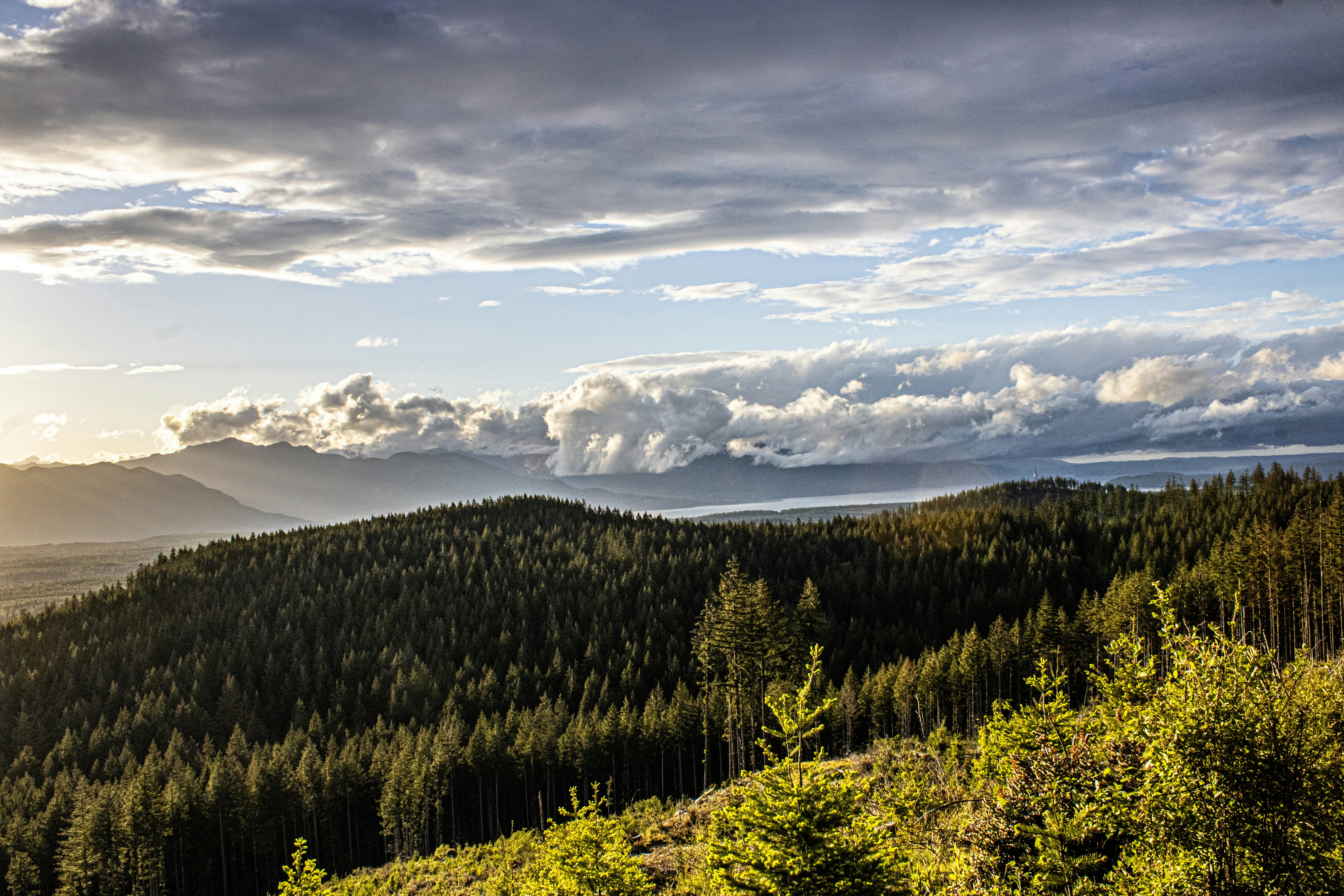 Photo by prphotography262