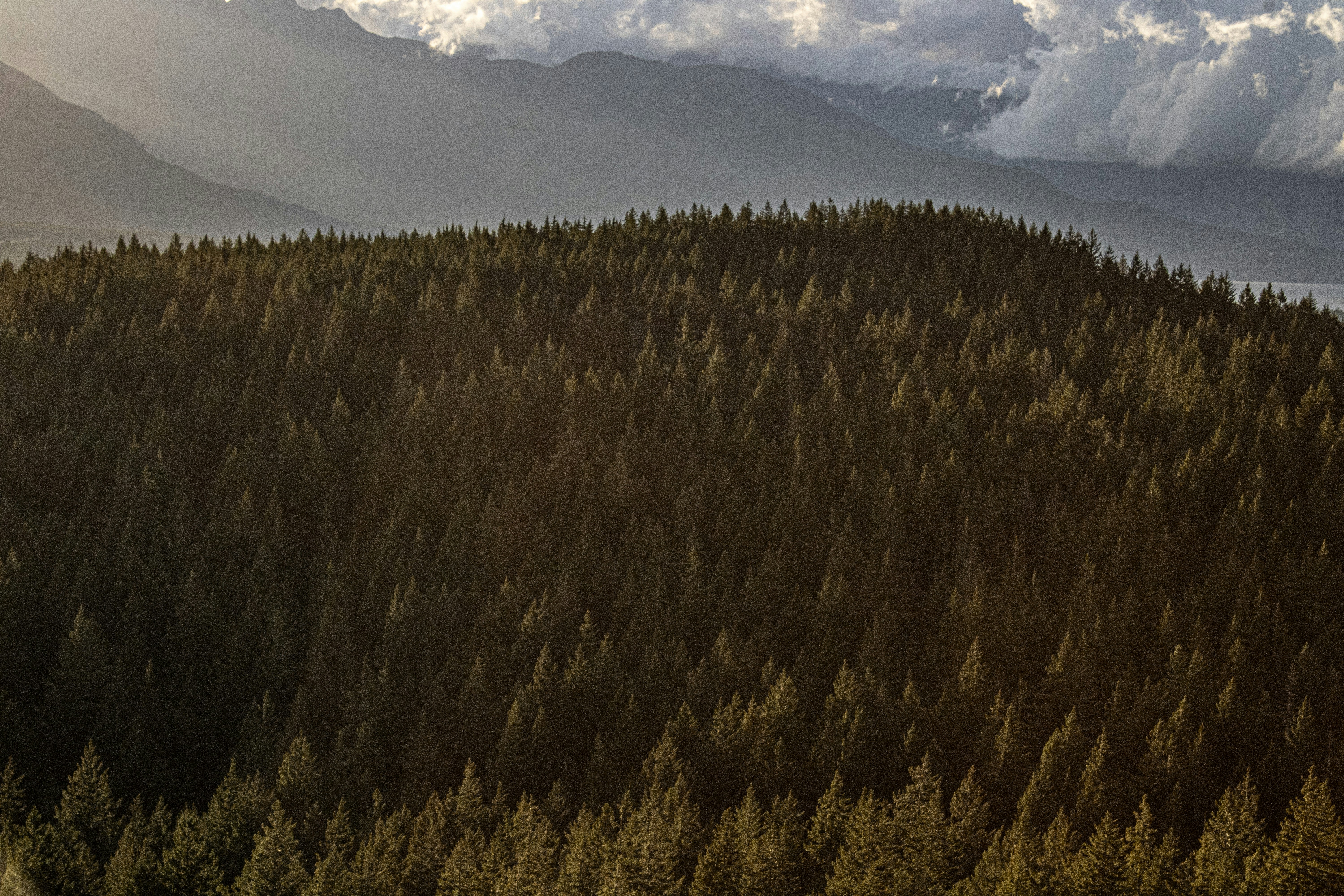 Photo by prphotography262