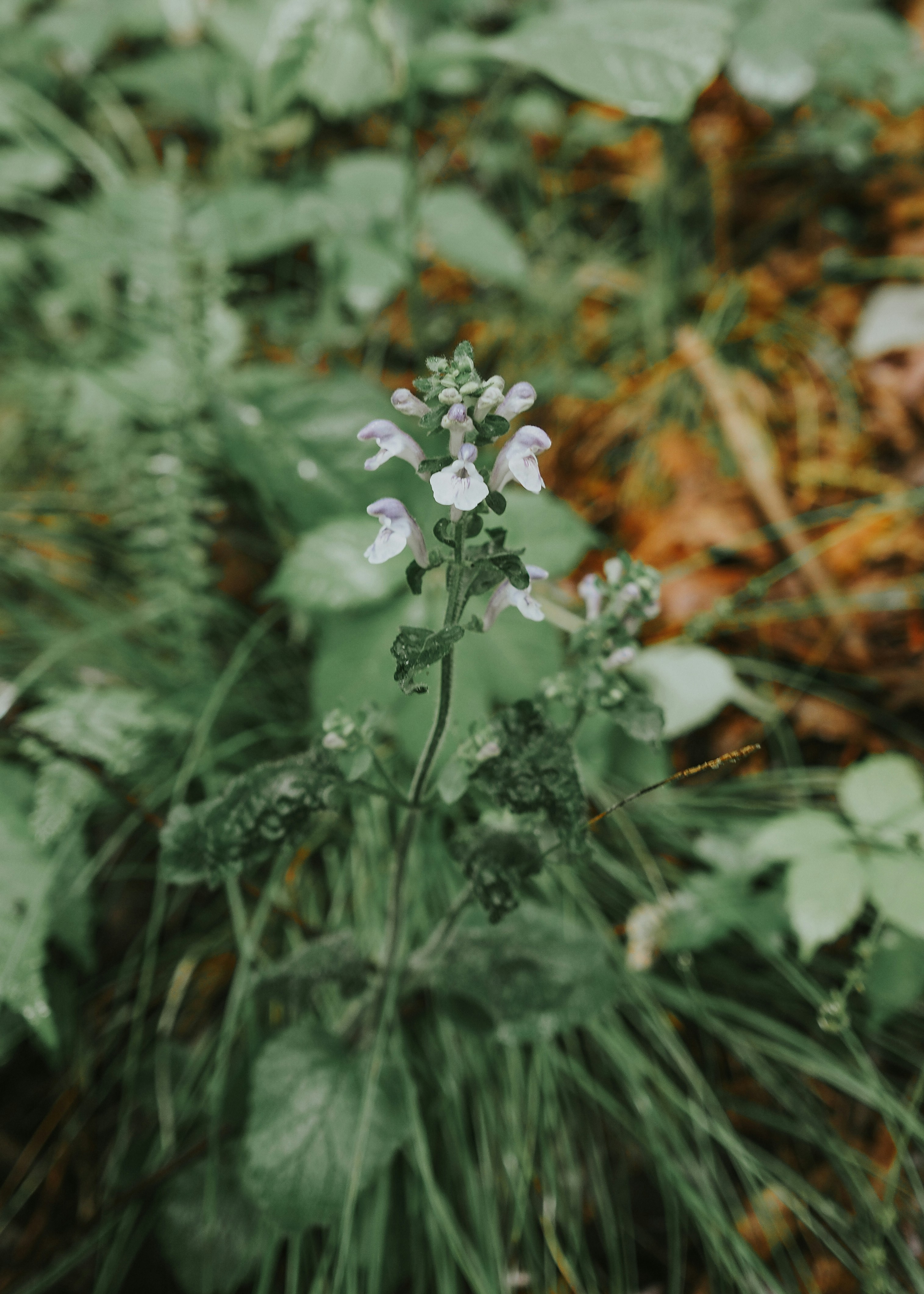 Photo by fieldworkframes