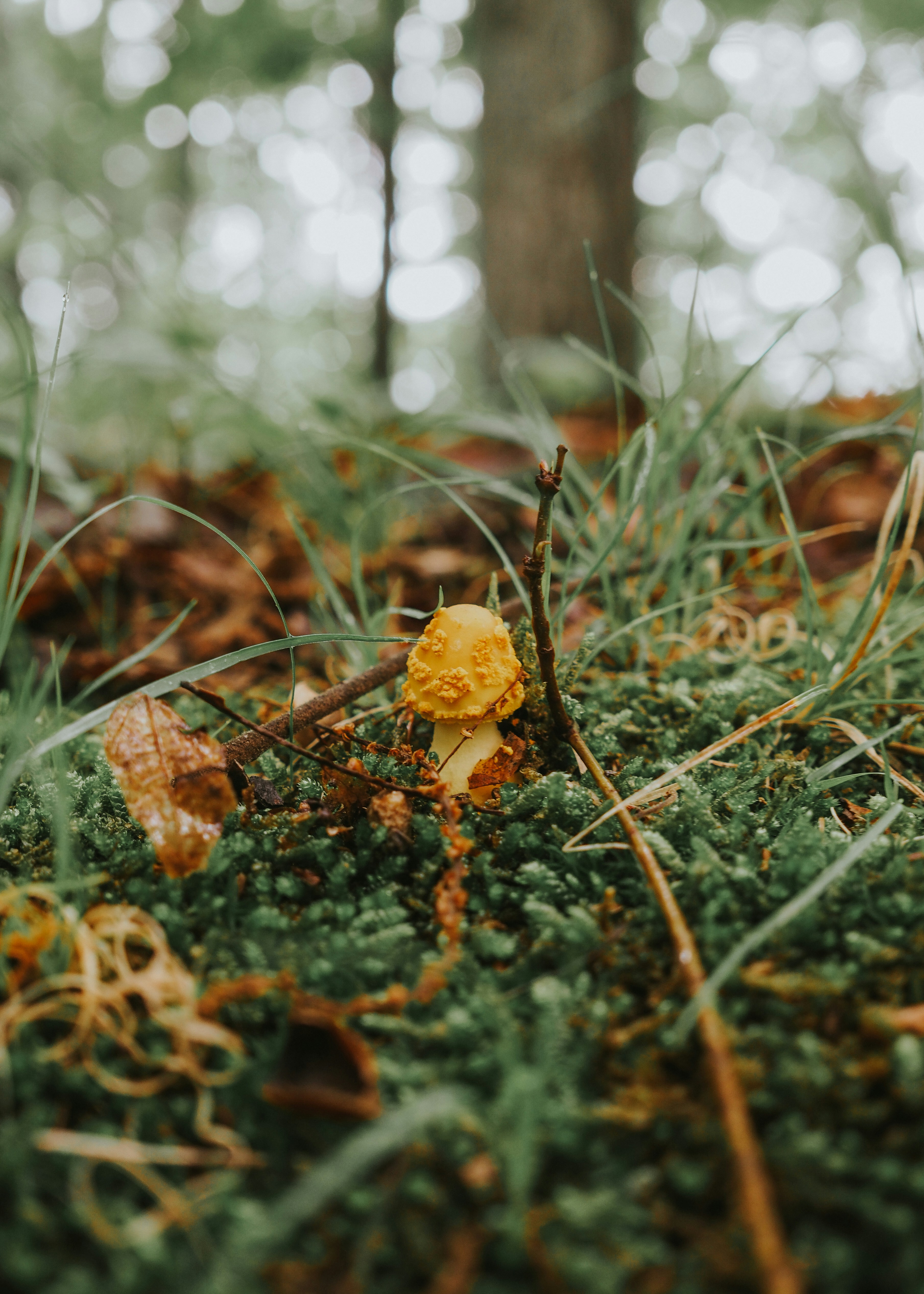 Photo by fieldworkframes