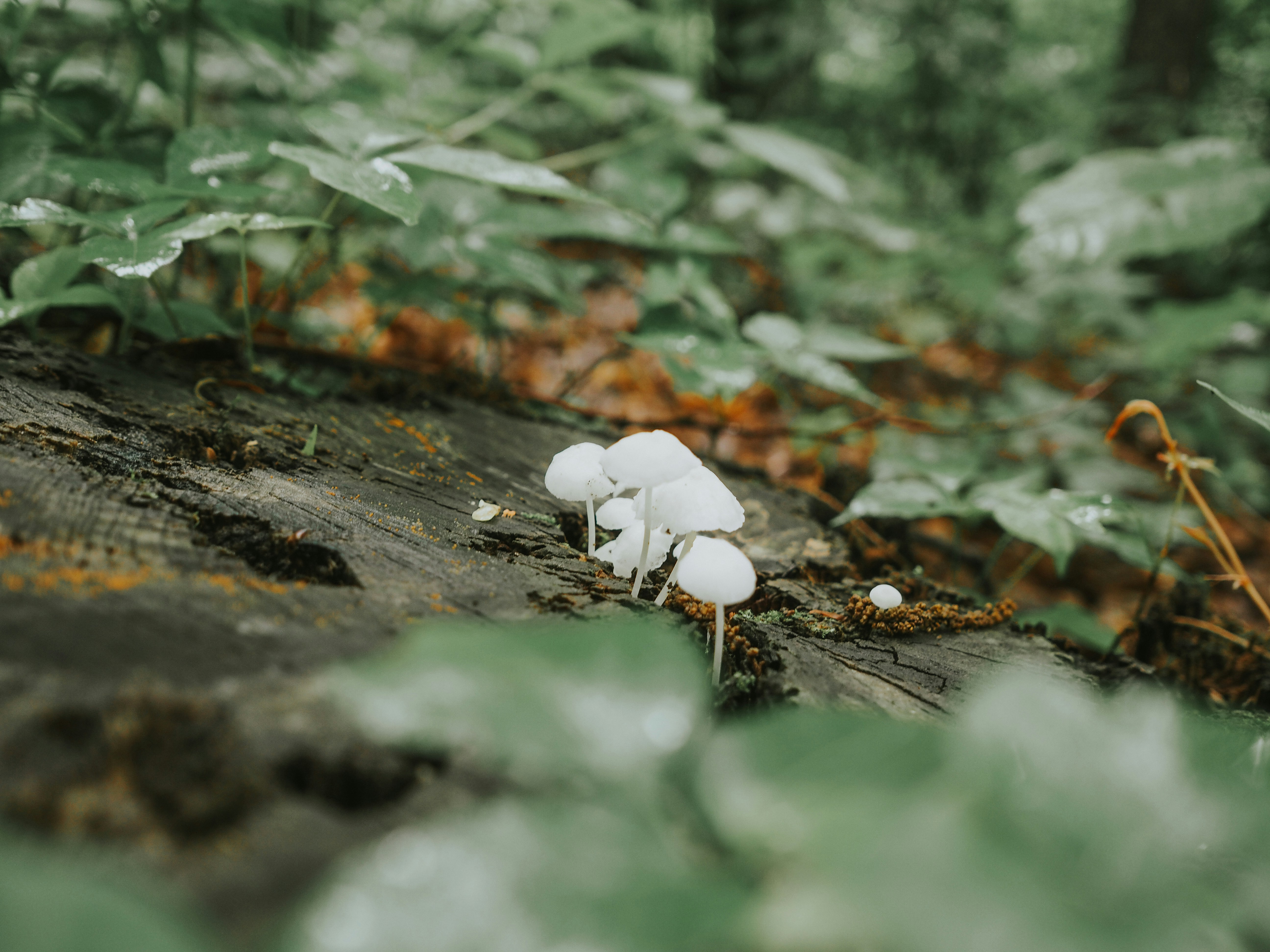 Photo by fieldworkframes