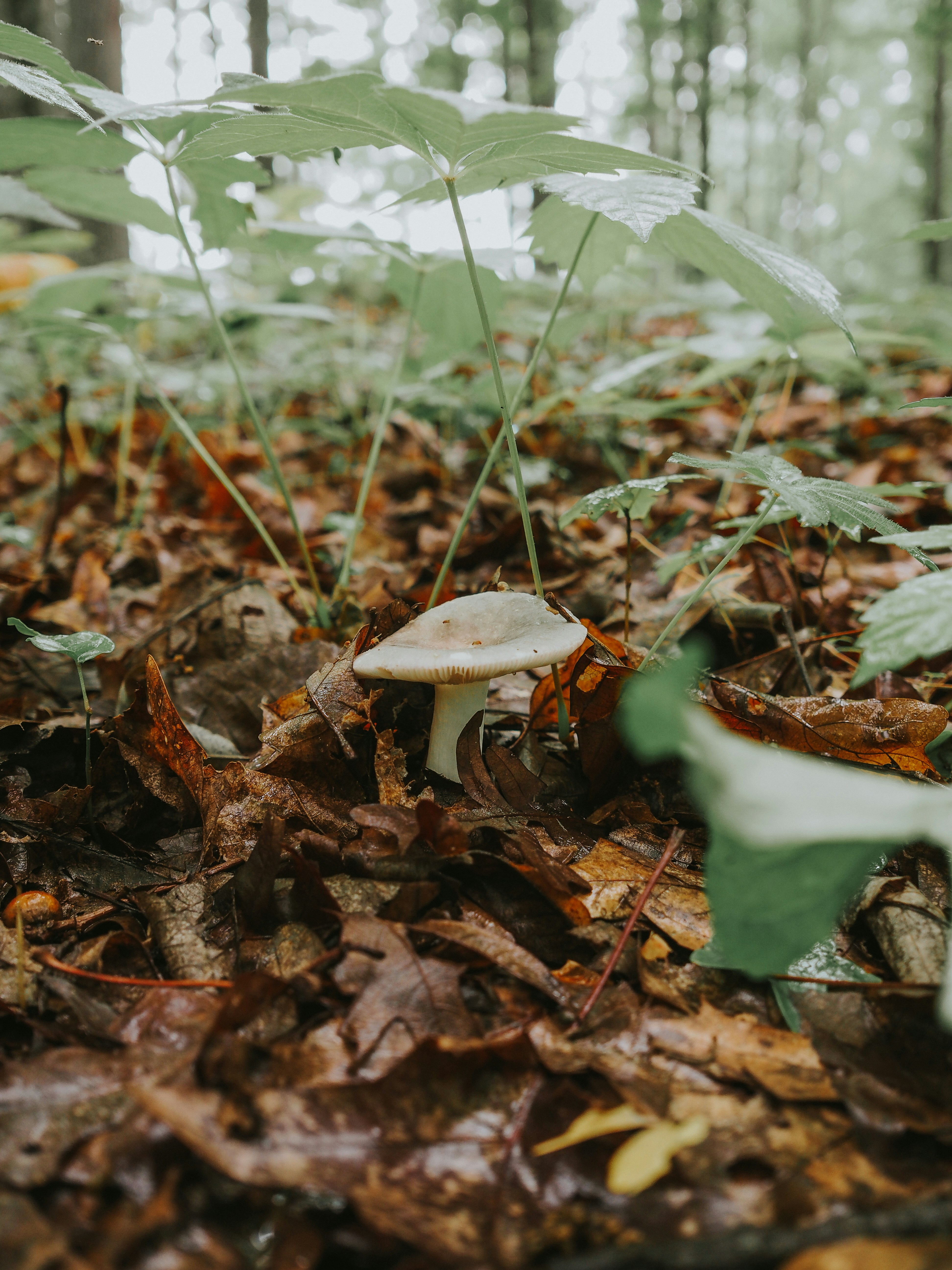 Photo by fieldworkframes