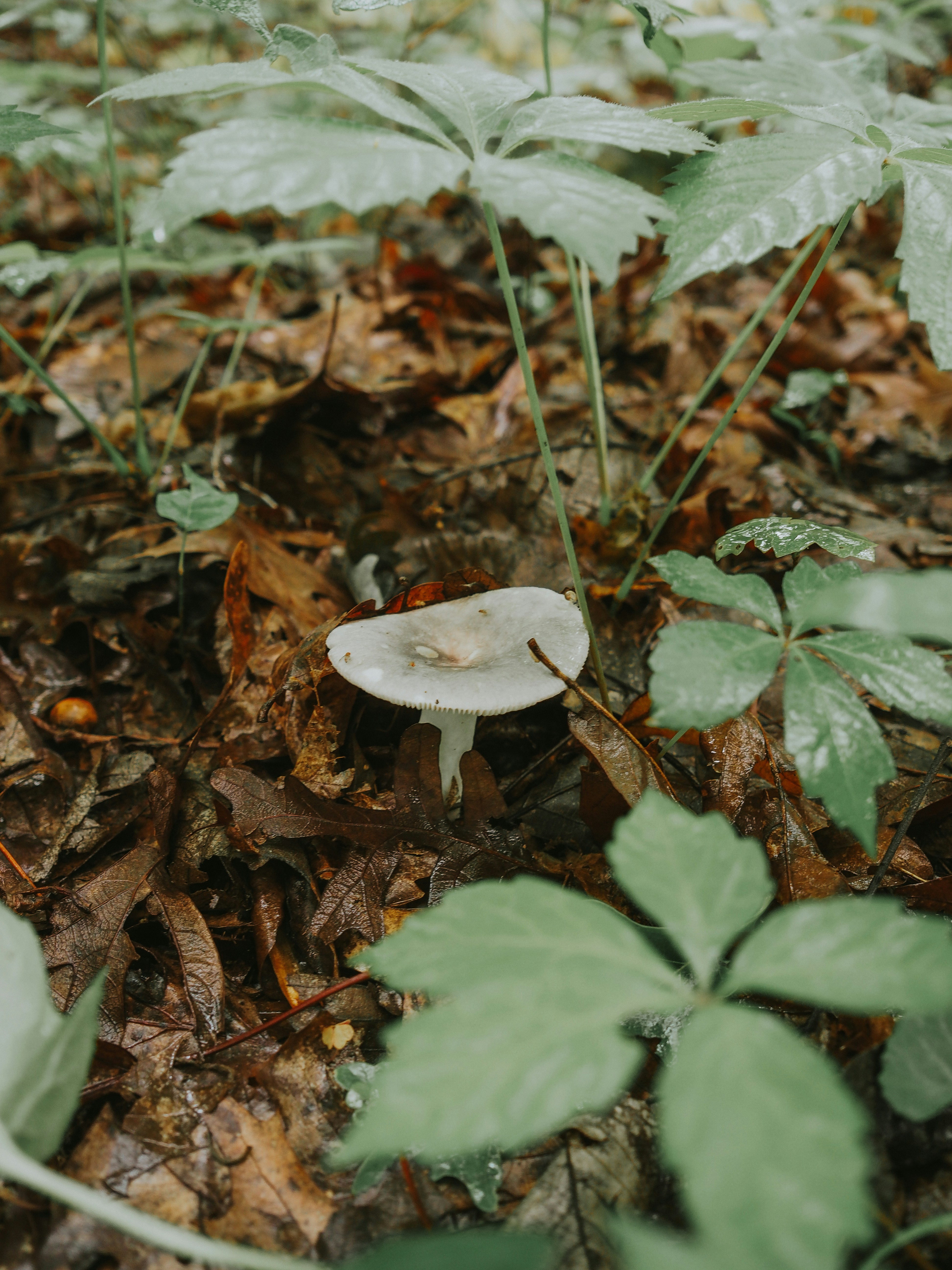 Photo by fieldworkframes