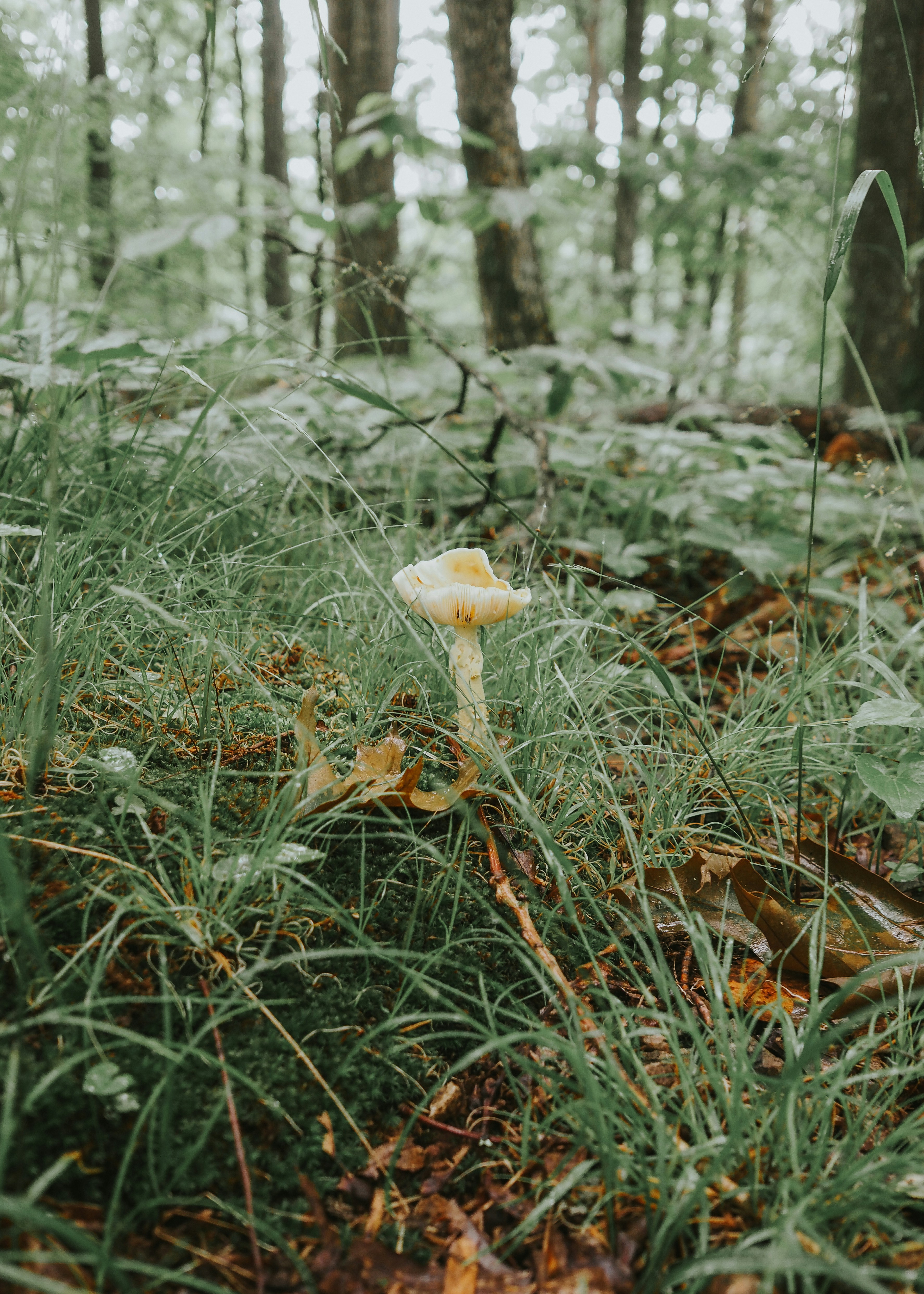 Photo by fieldworkframes