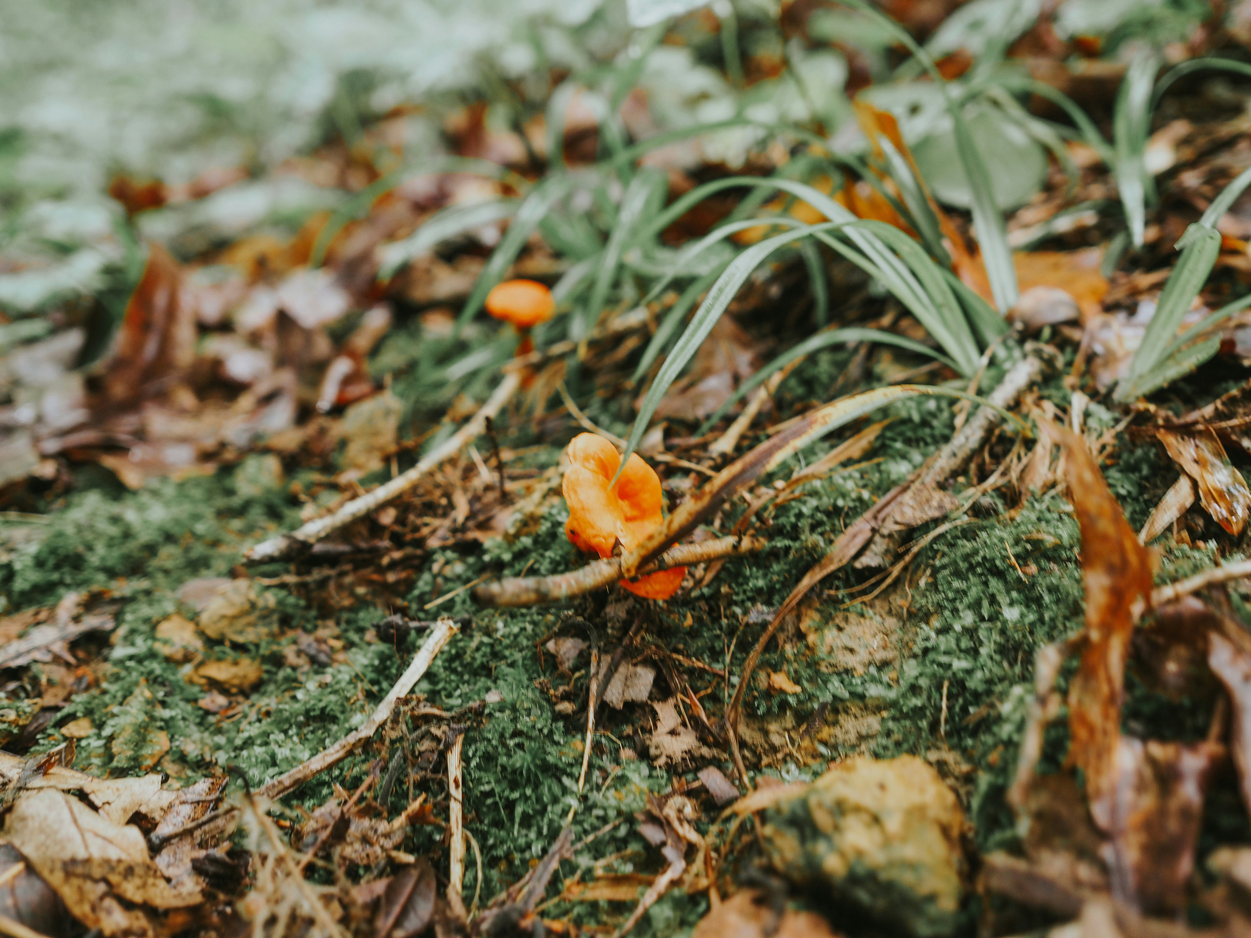 Photo by fieldworkframes