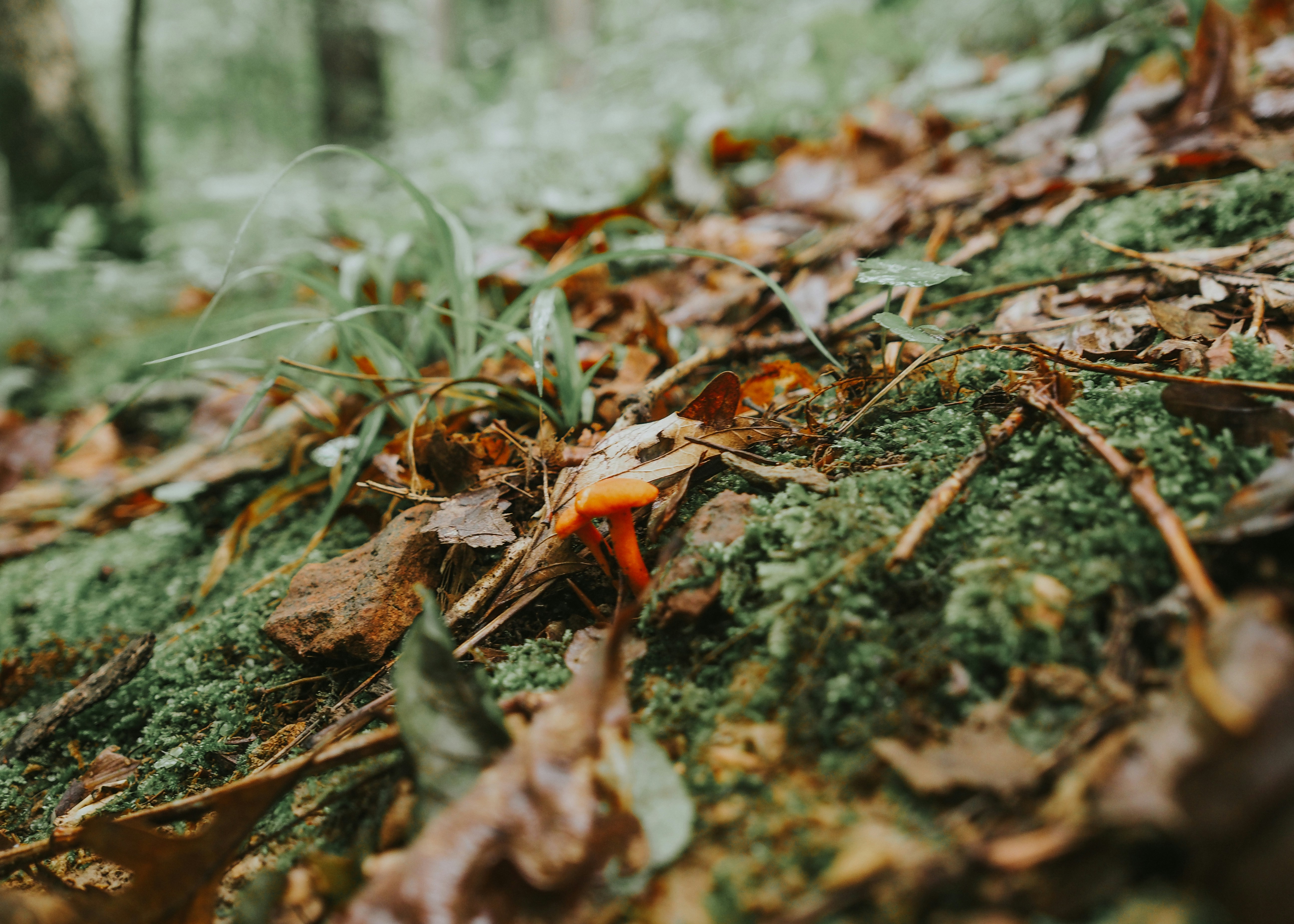 Photo by fieldworkframes