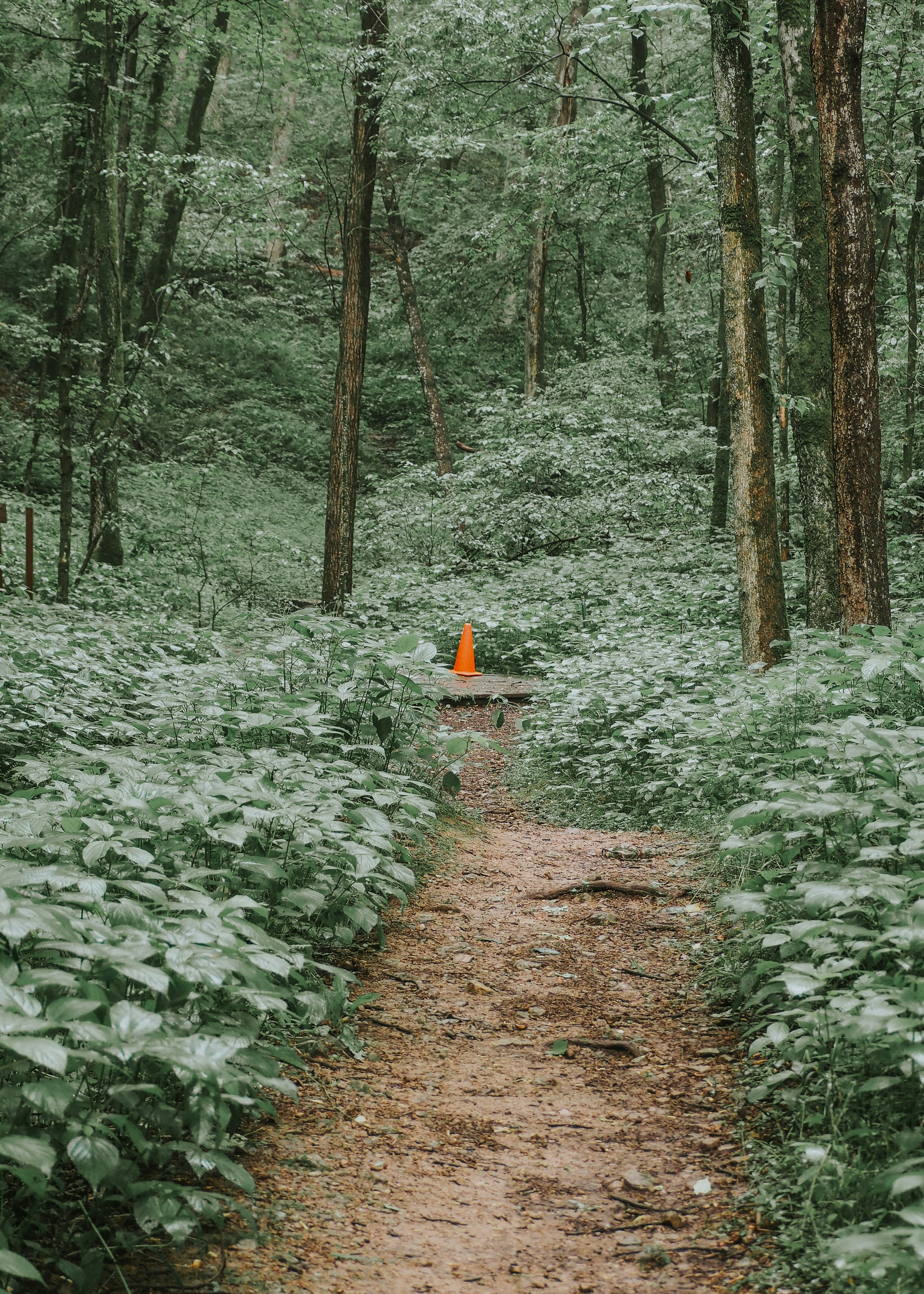 Photo by fieldworkframes