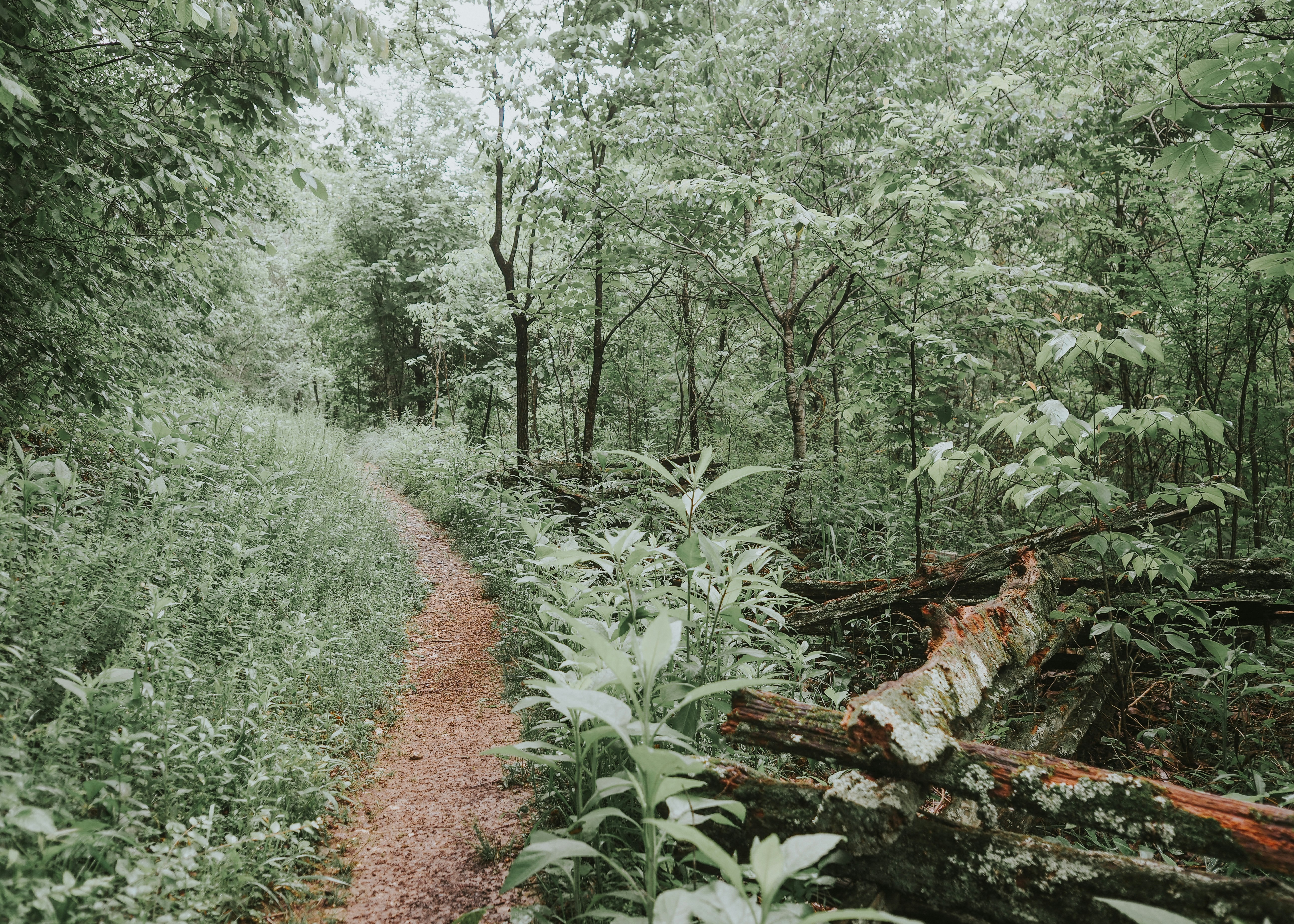 Photo by fieldworkframes