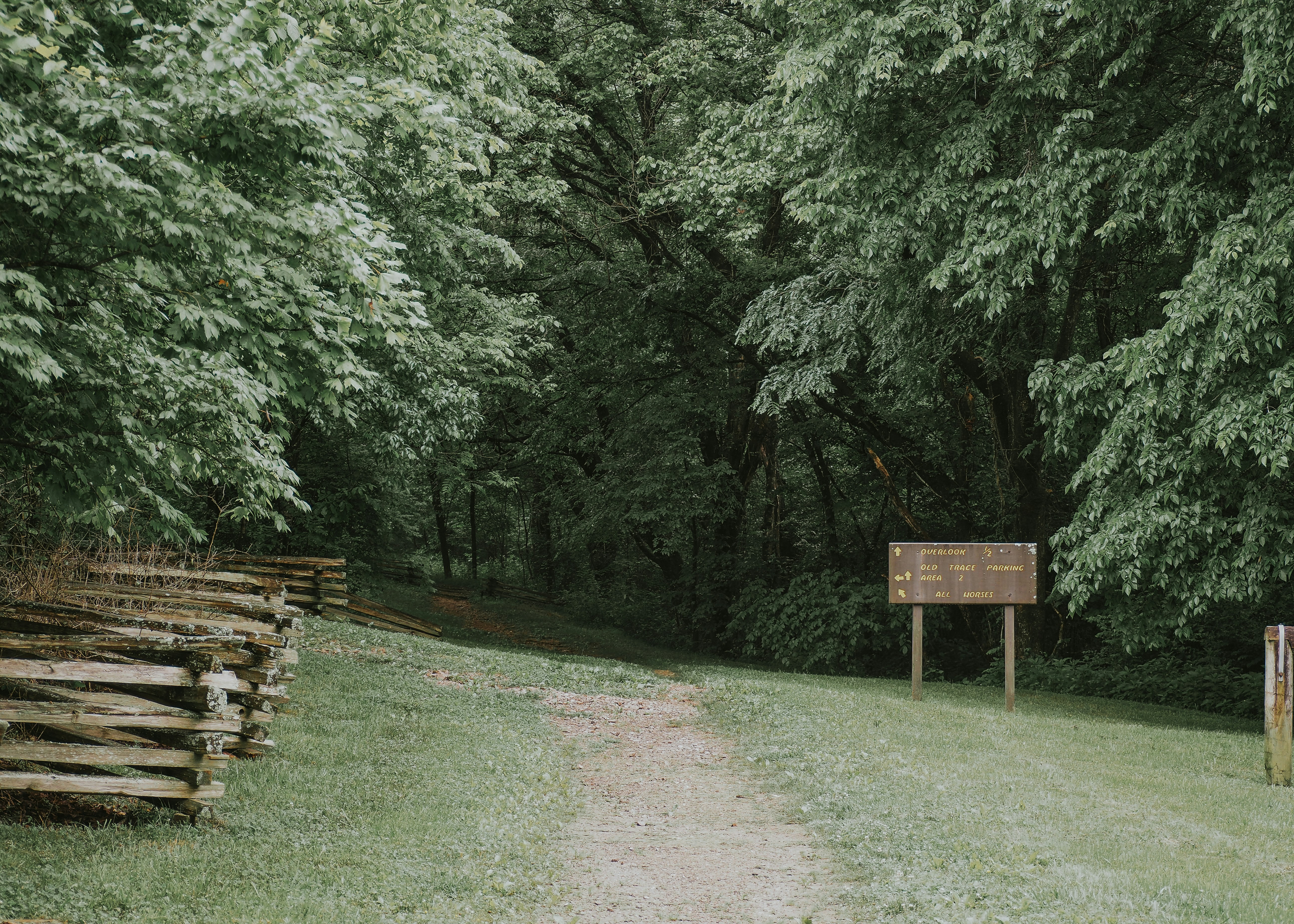 Photo by fieldworkframes