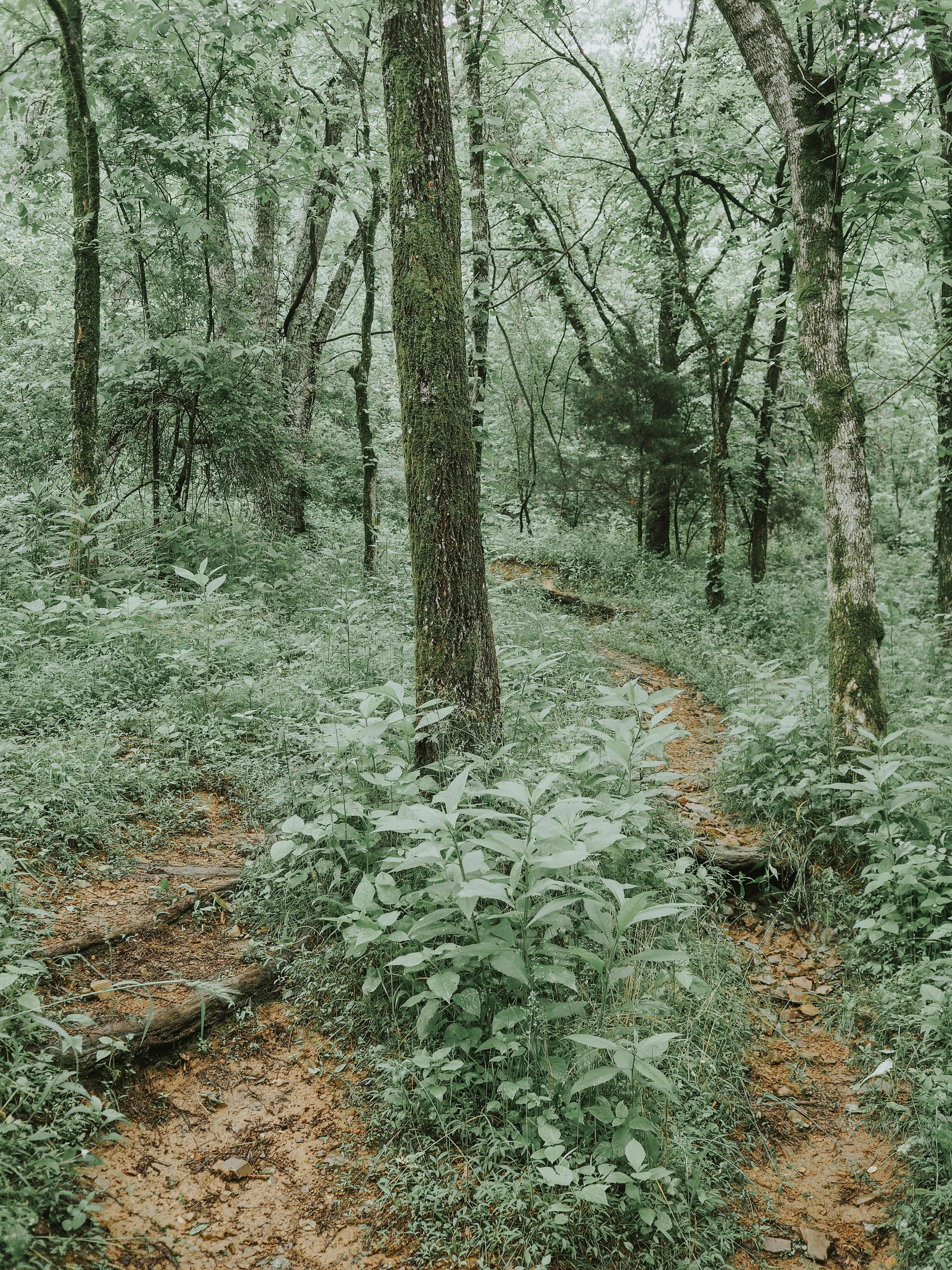 Photo by fieldworkframes