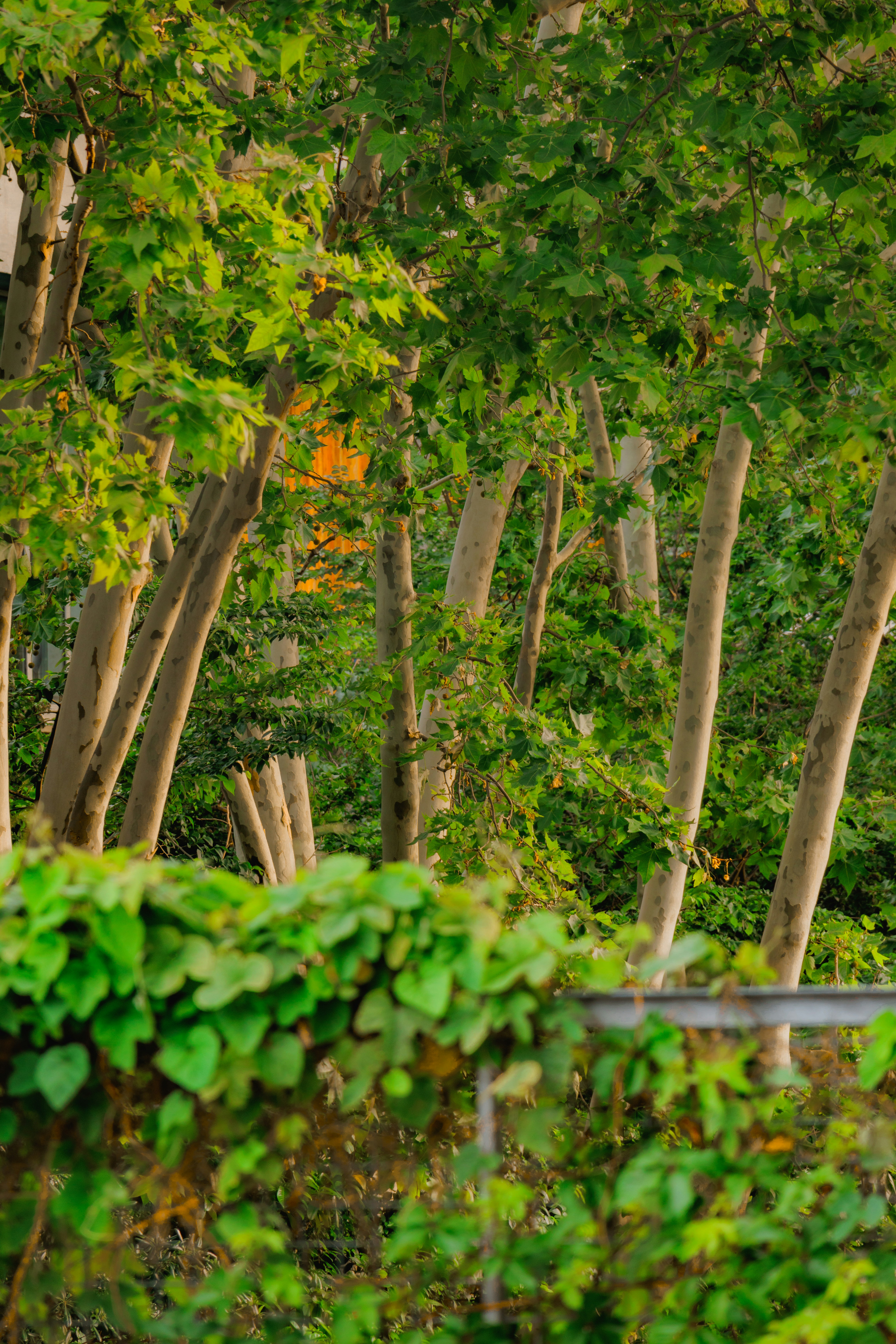 Photo by abdelkader1001