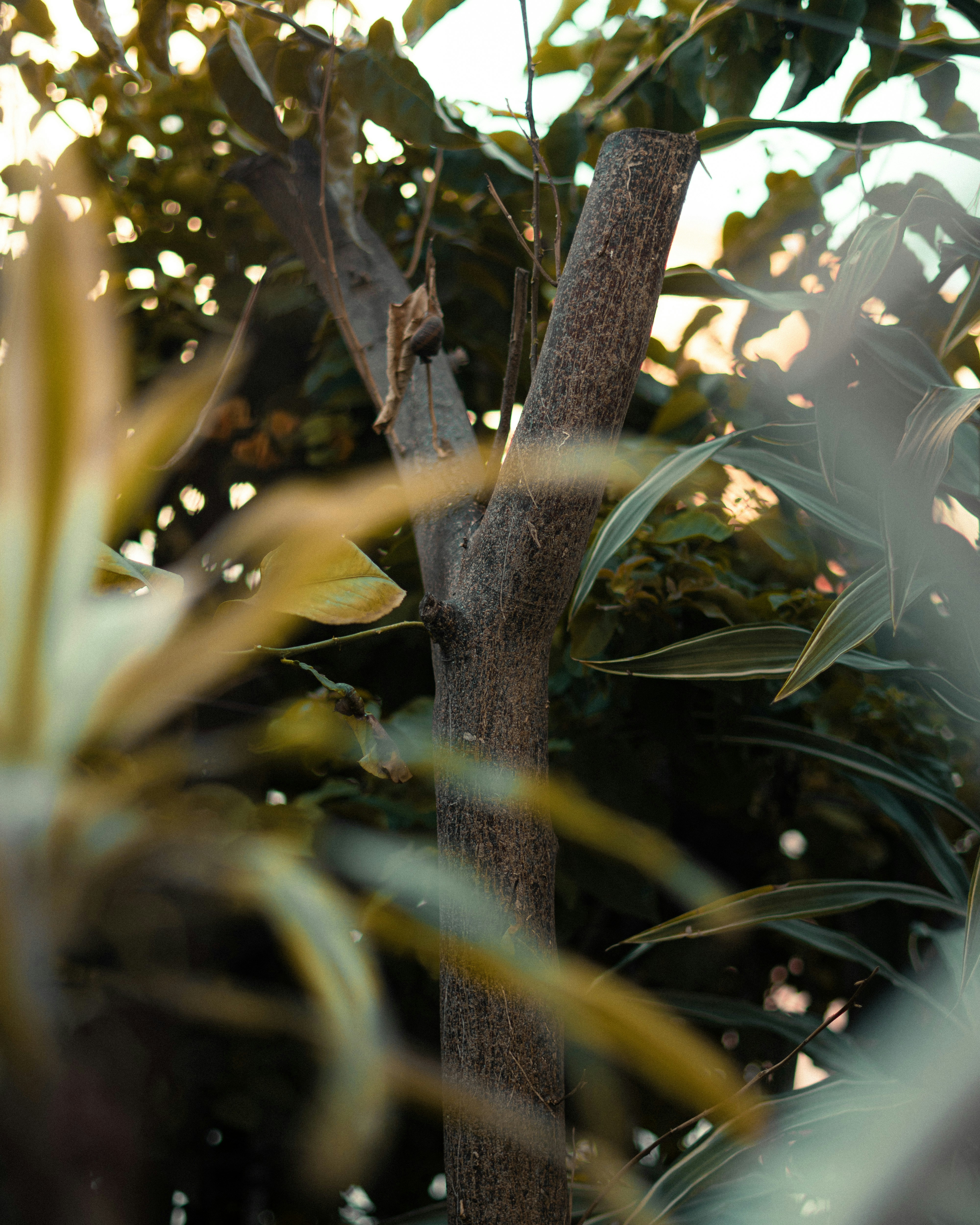 Photo by arshavin979