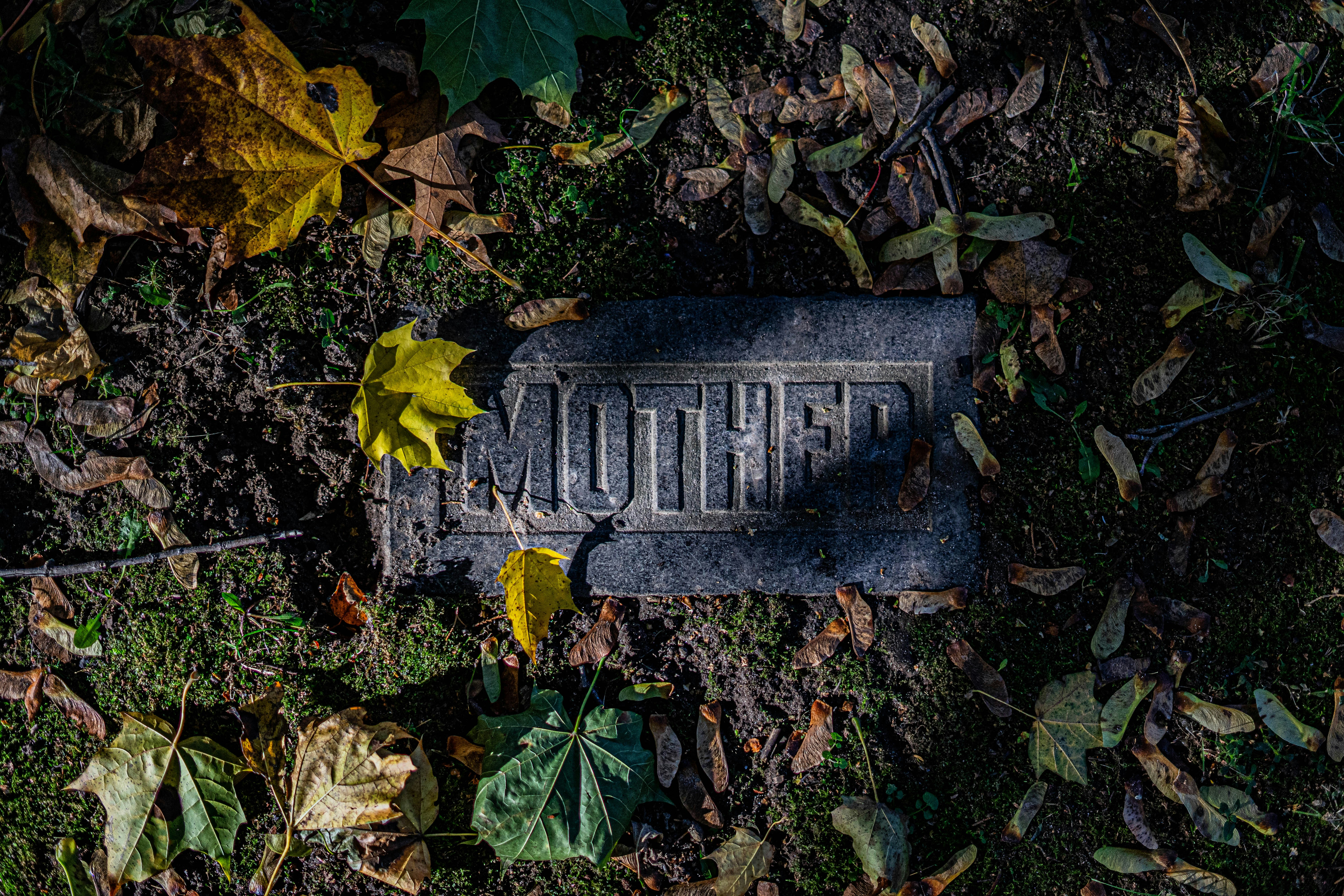 Chockerande: Utredning nerlagd efter brutal familjetragedi i Boden!