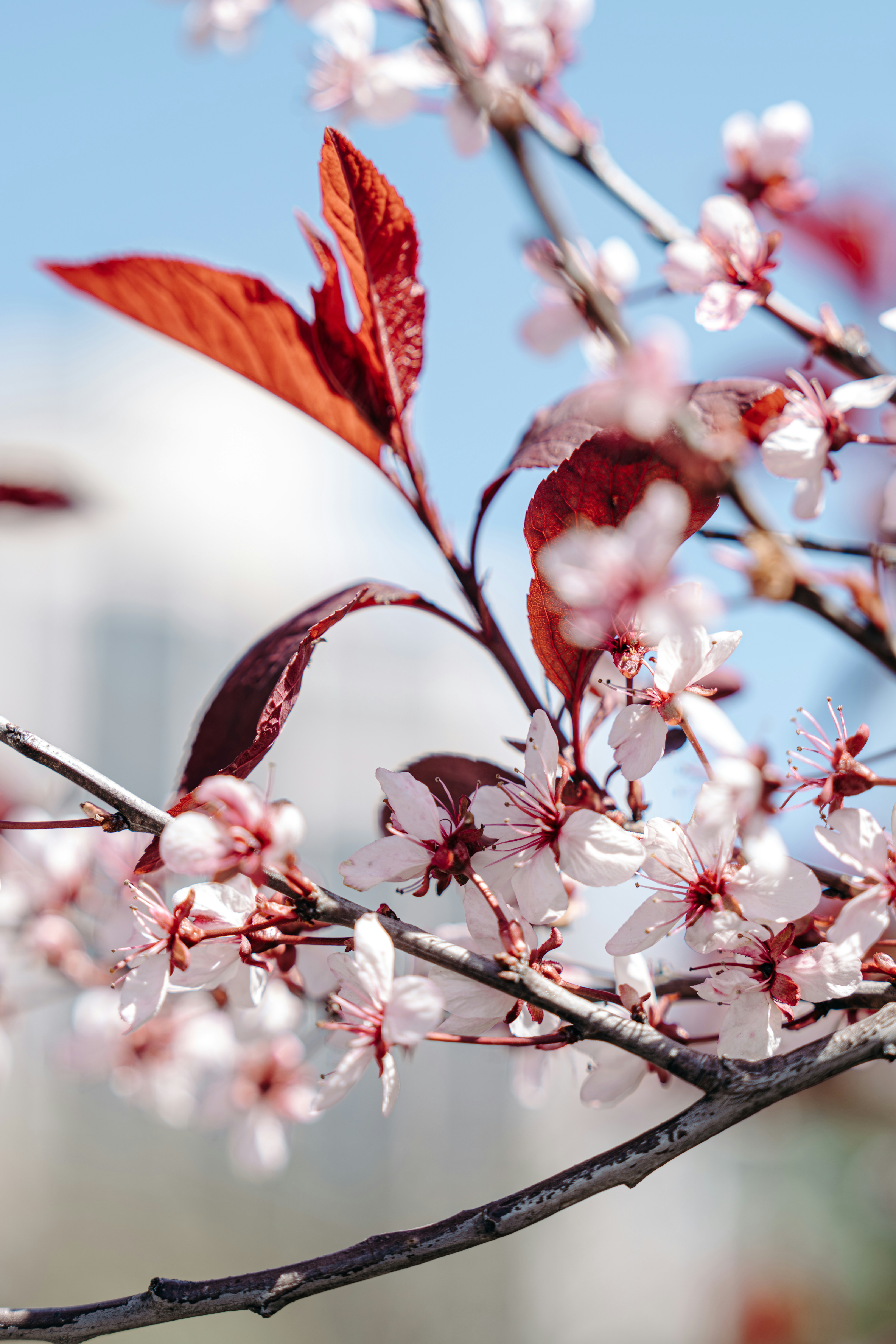 Photo by damiankravchuk