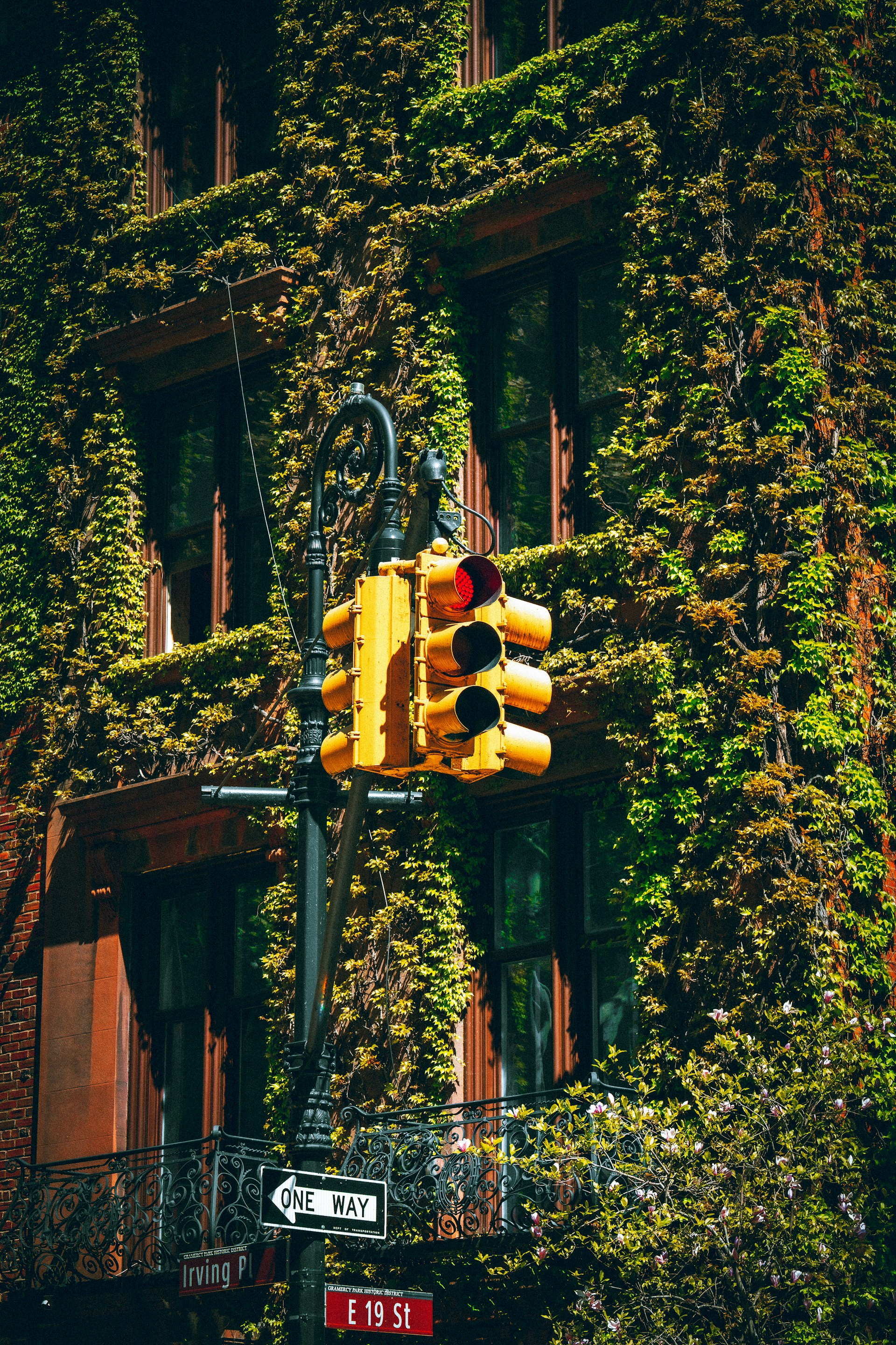 a traffic light in front of a building covered in ivy