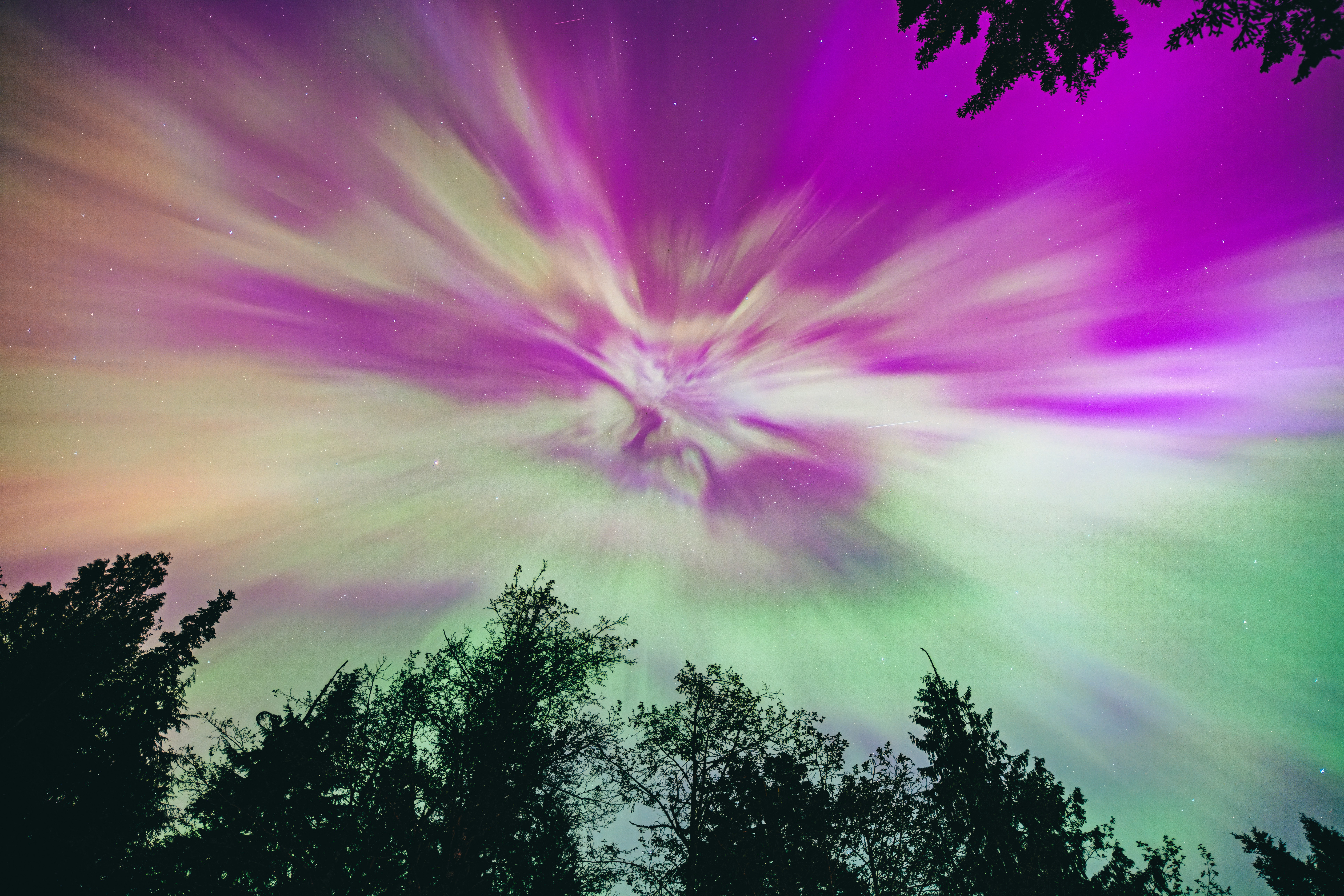Brilliant green and violet aurora borealis curtains over dark Arctic fjord, stars visible through the lights