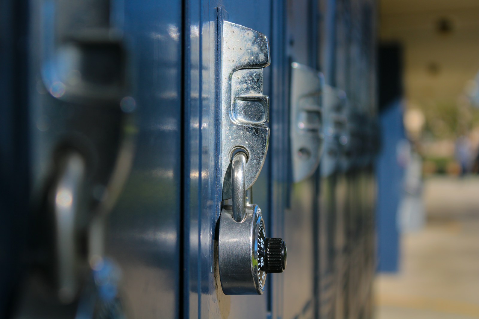 Top-Ranked Schools on the Saanich Peninsula: Public, Private, and Montessori