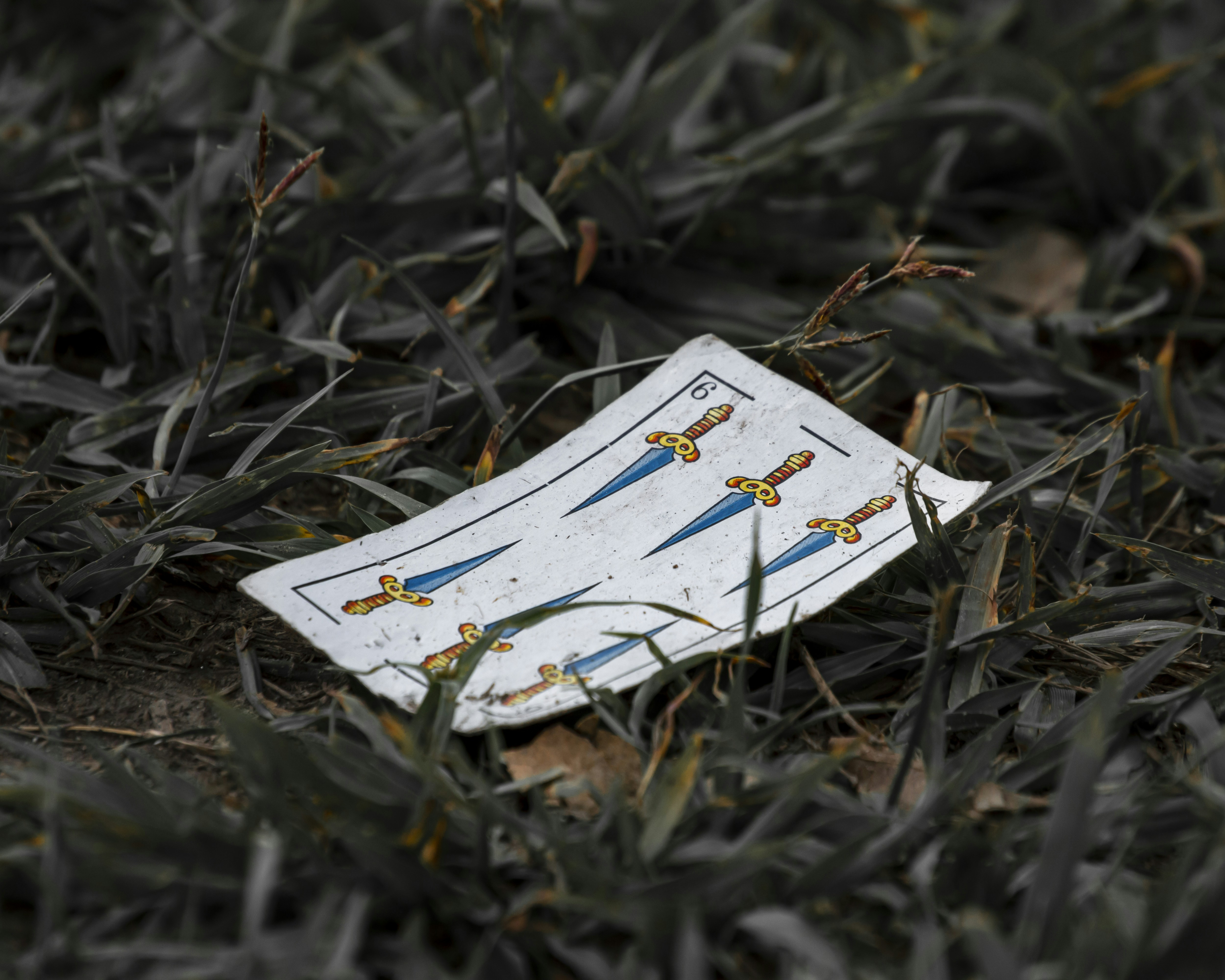 um pedaço de papel que está deitado na grama