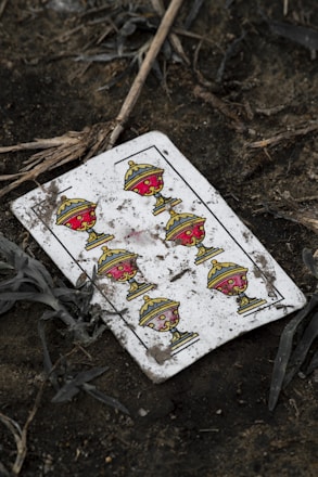 a broken playing card laying on the ground