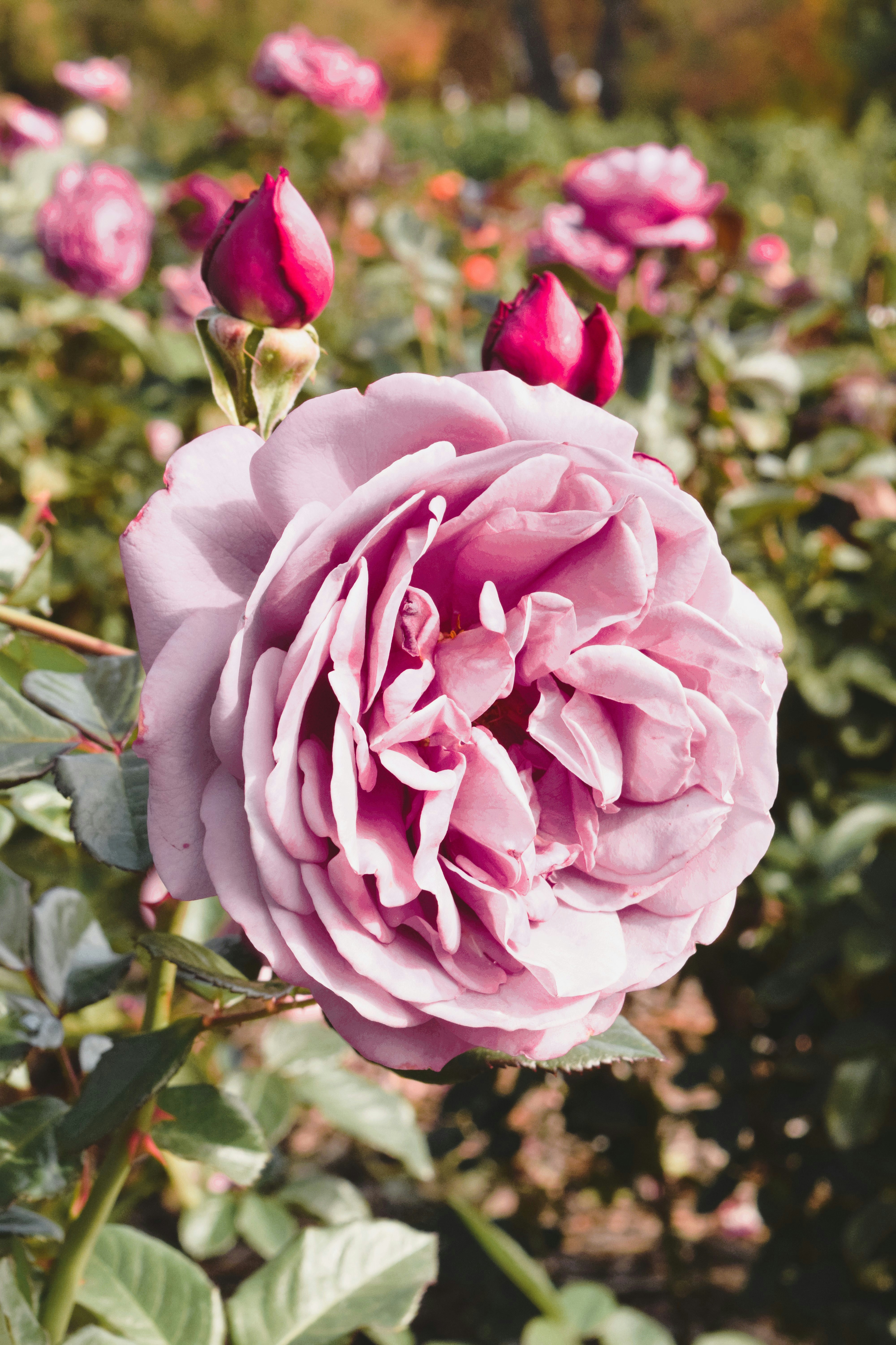 Photo by ch_photography