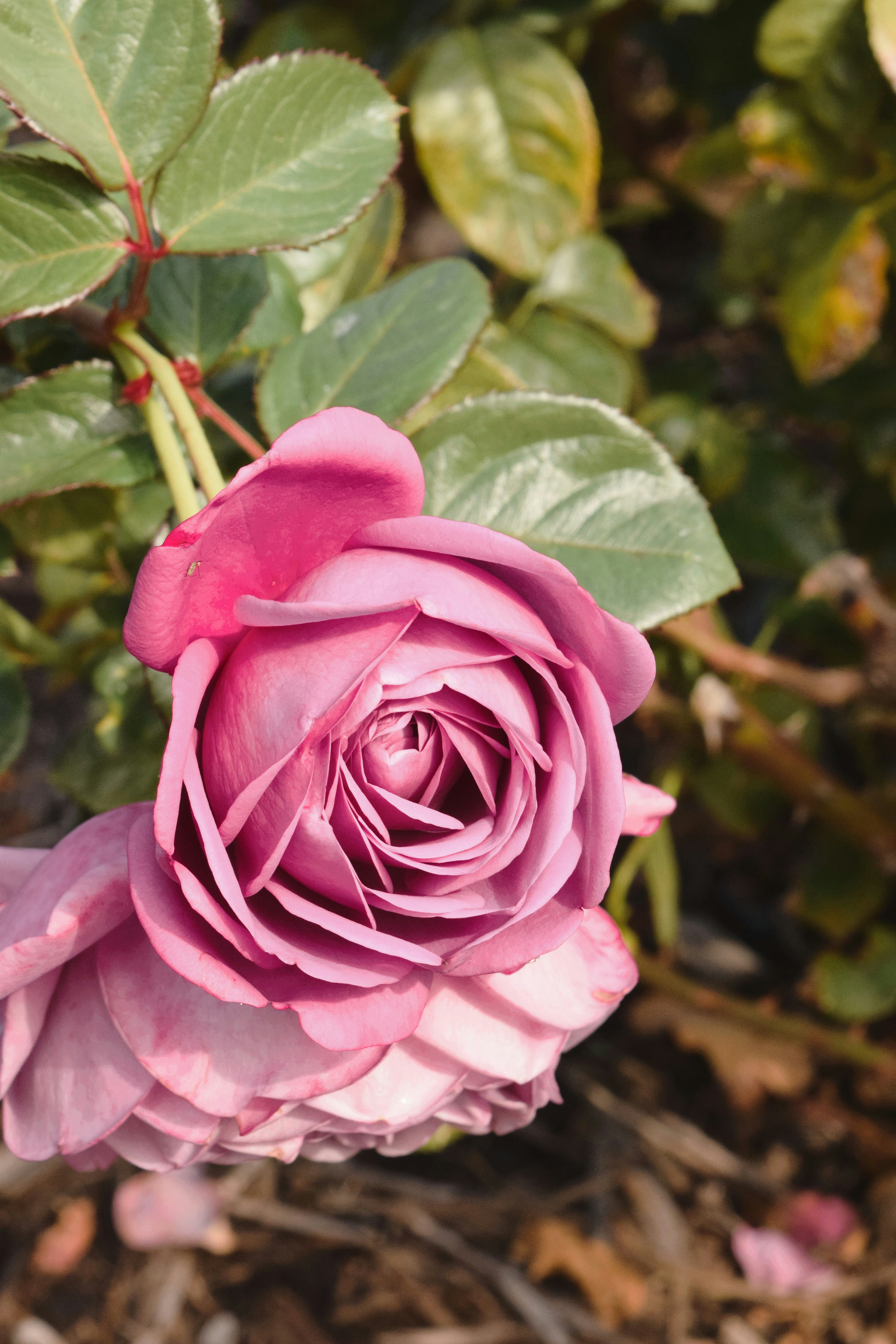 Photo by ch_photography