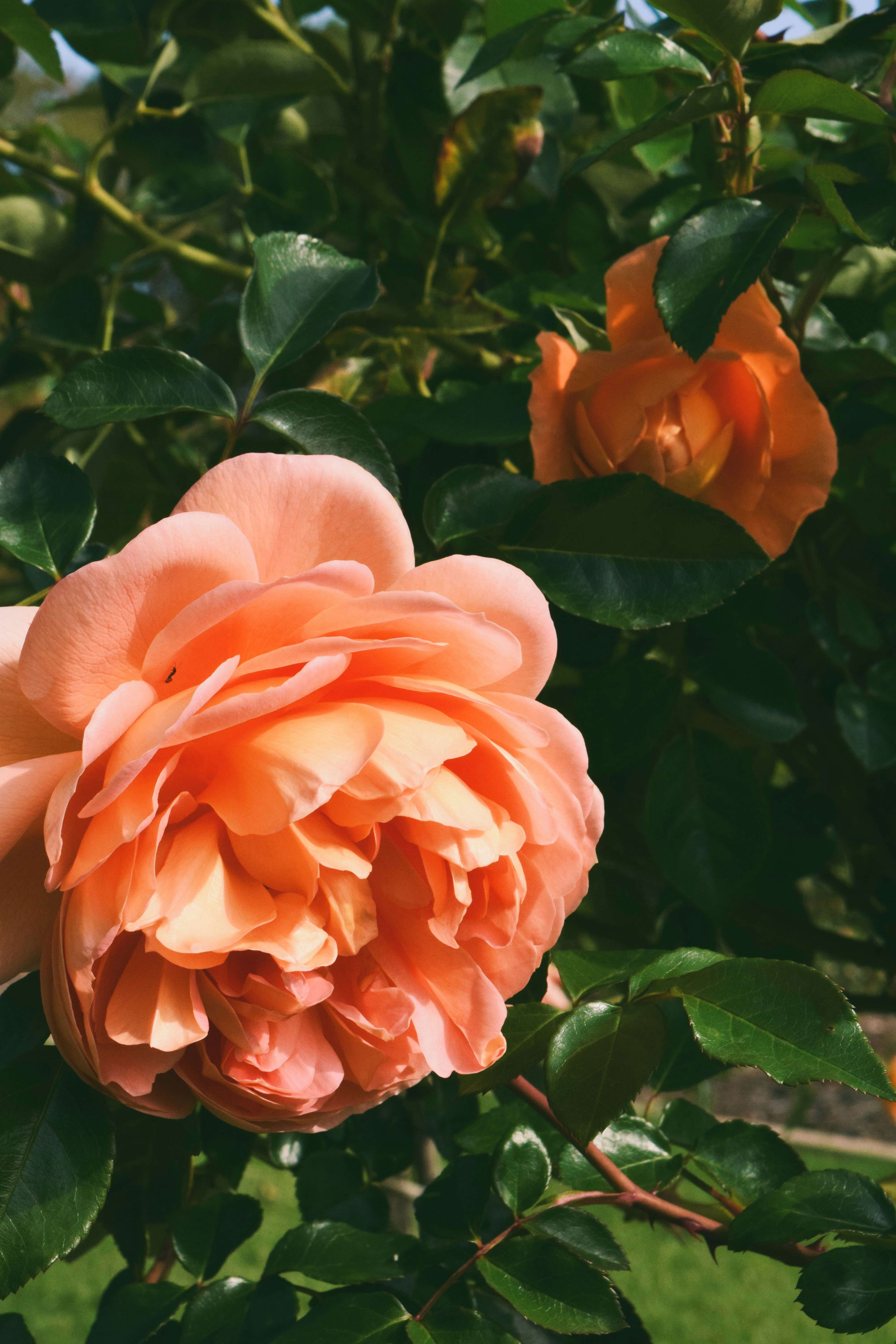 Photo by ch_photography