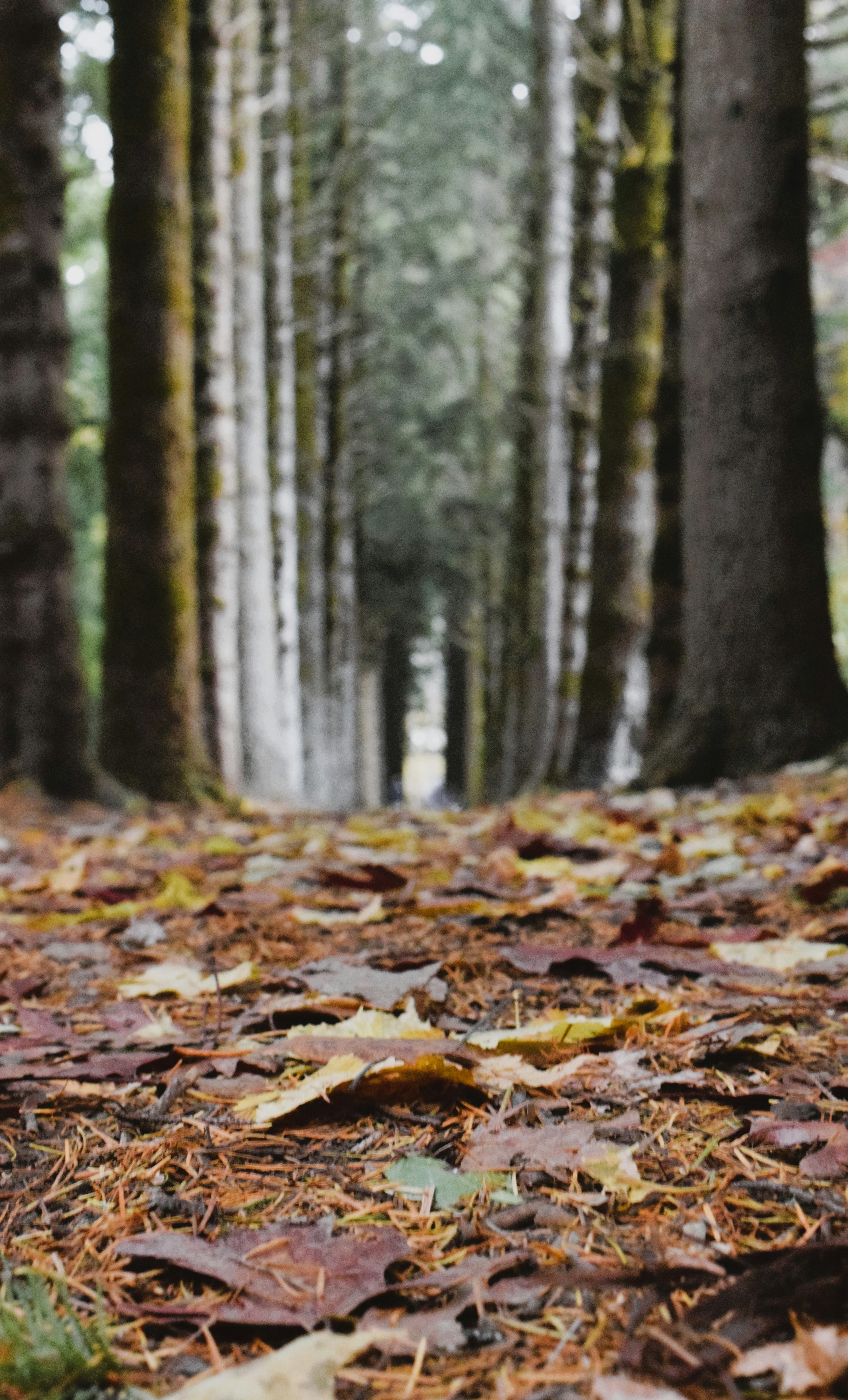 Photo by ch_photography