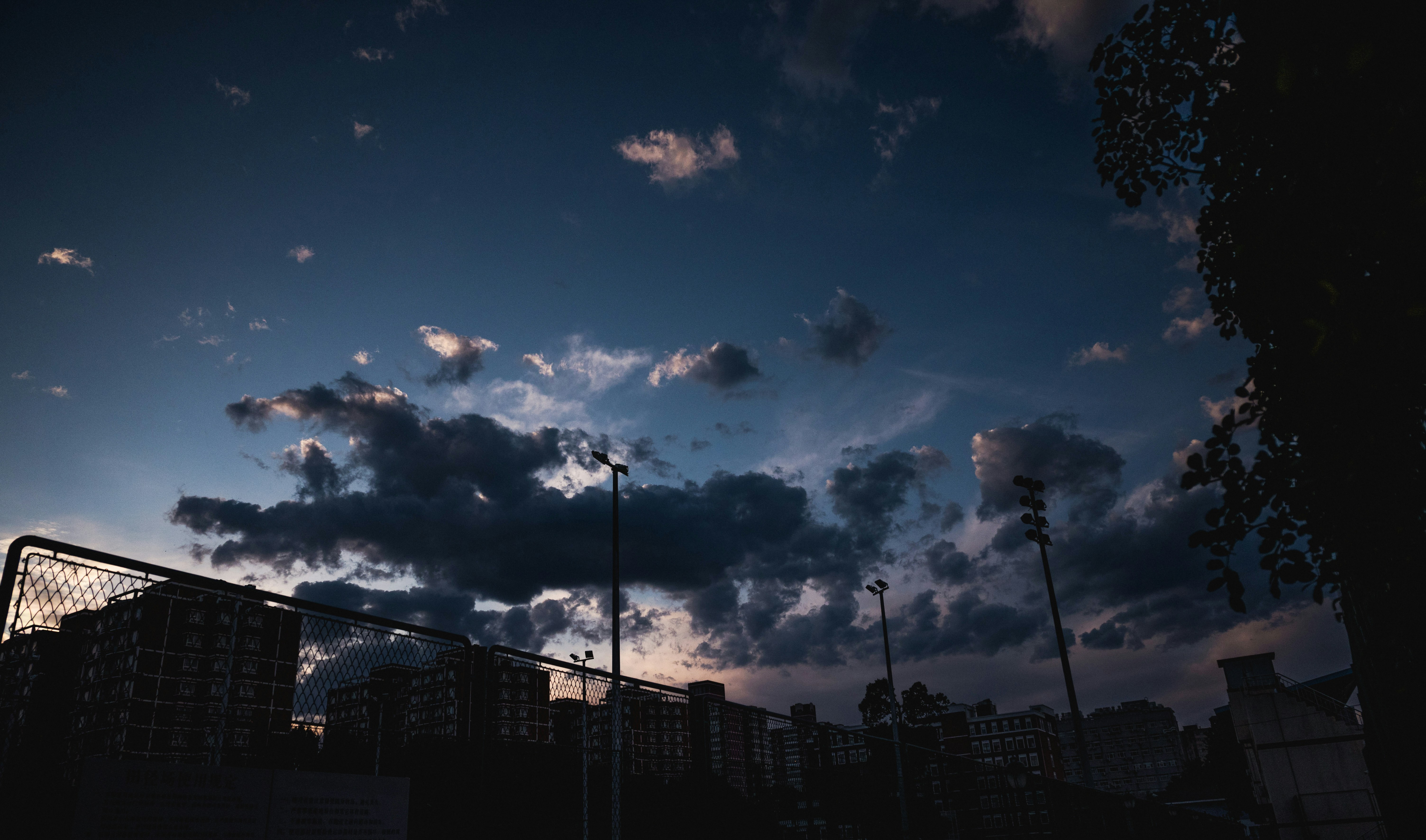 Photo by nikol_royce