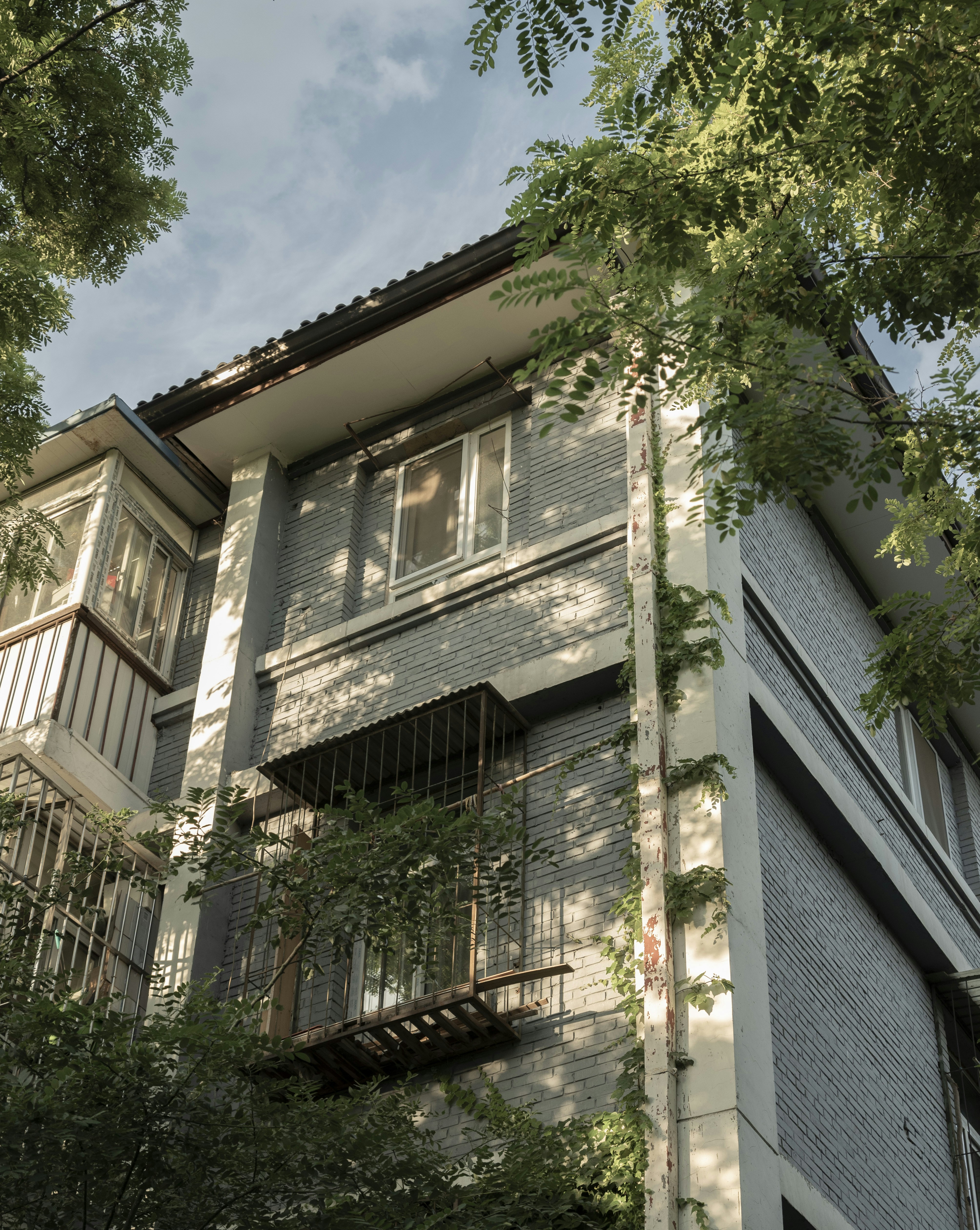 Photo by nikol_royce