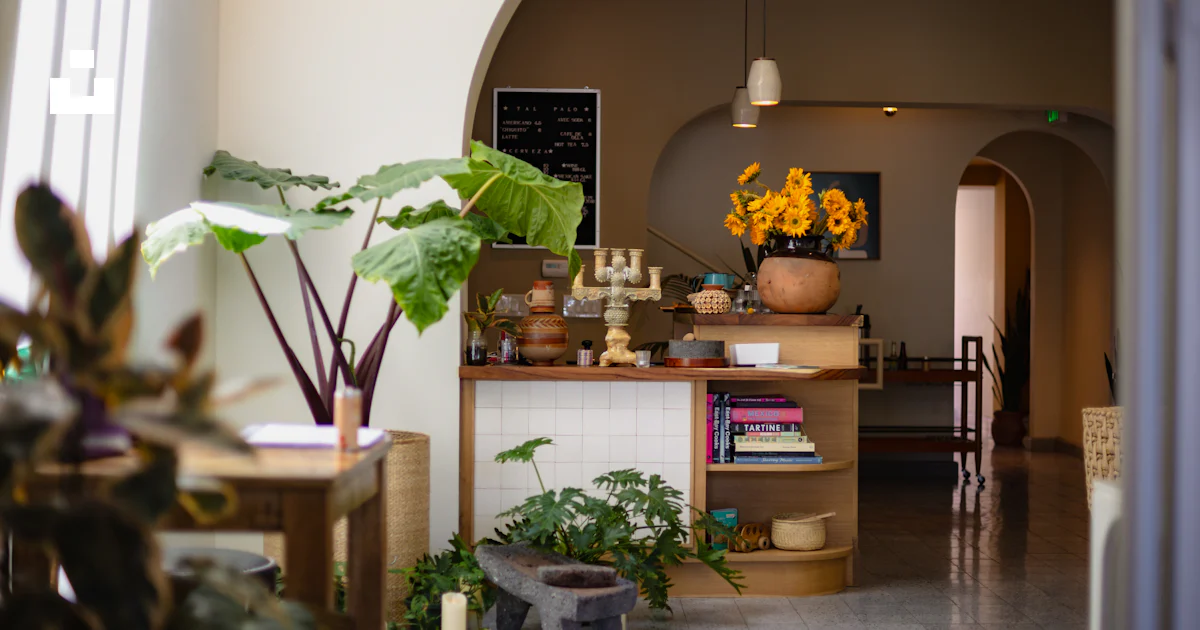 A room filled with lots of potted plants photo – Free Plant Image on ...