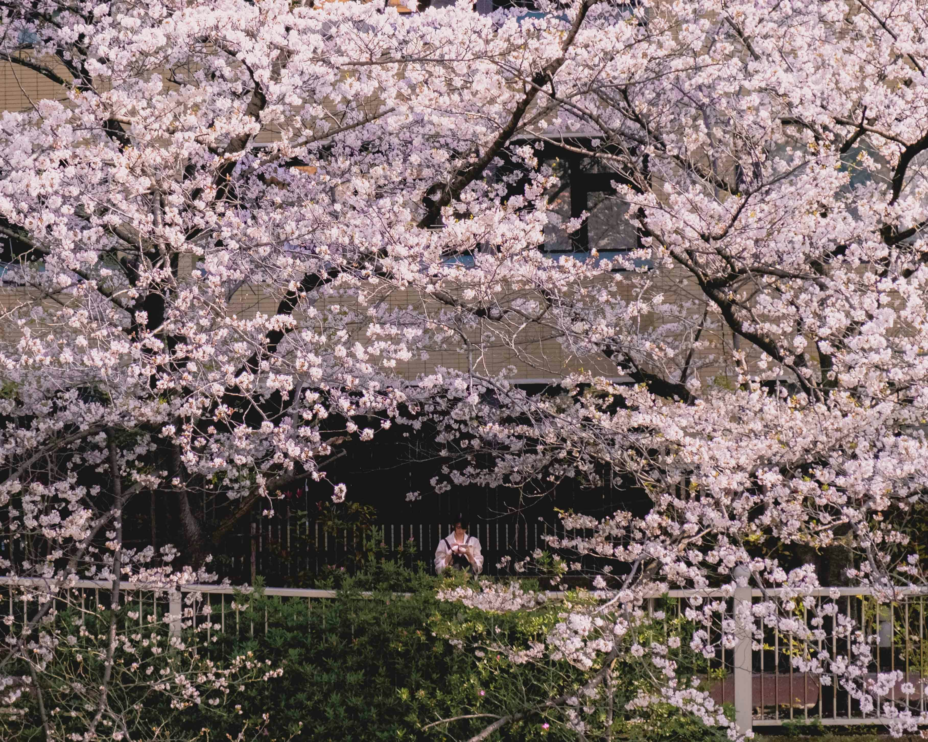 Photo by findviewer92