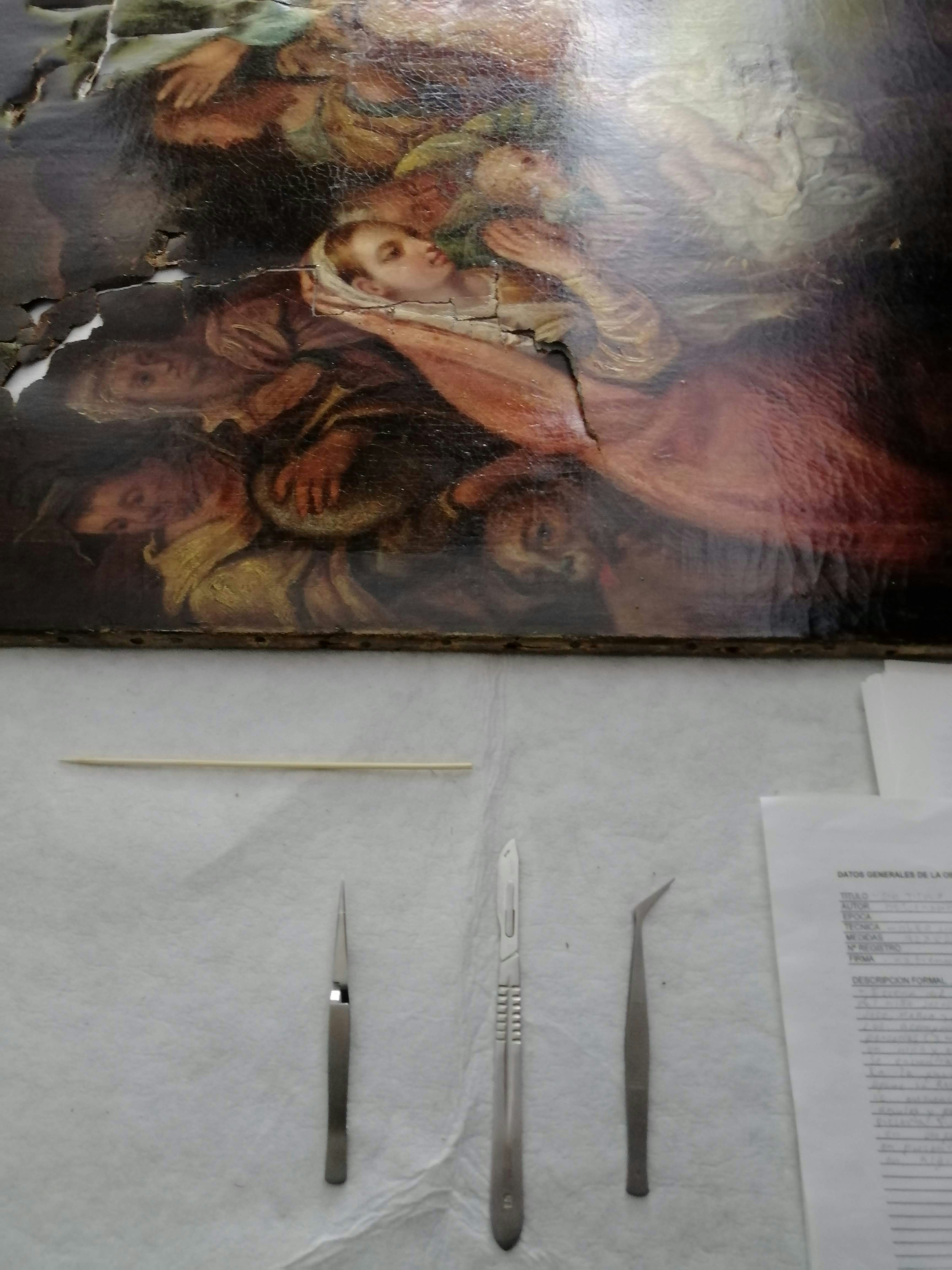 Profilbild von Sofia Rossi